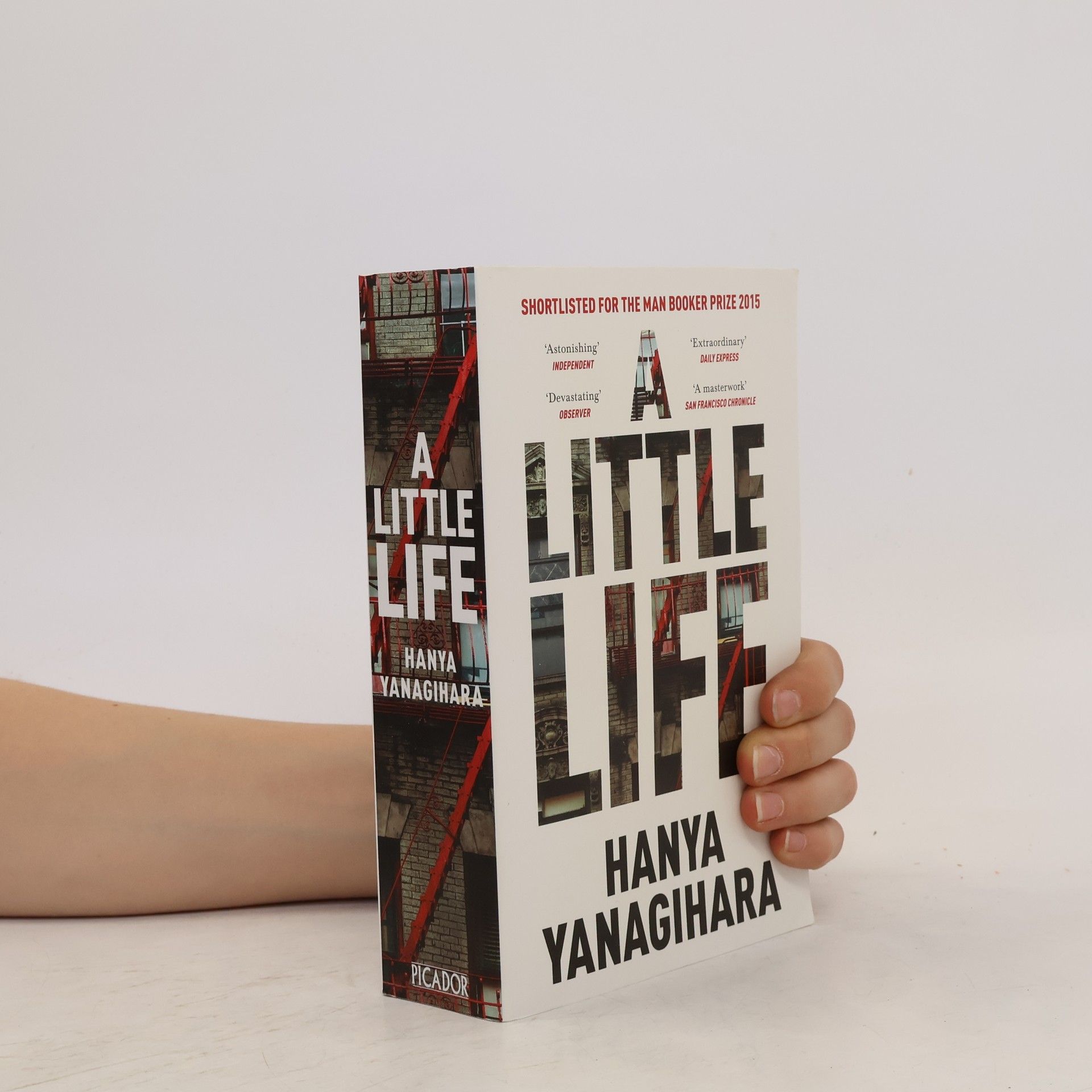 Hanya Yanagihara A Little Life