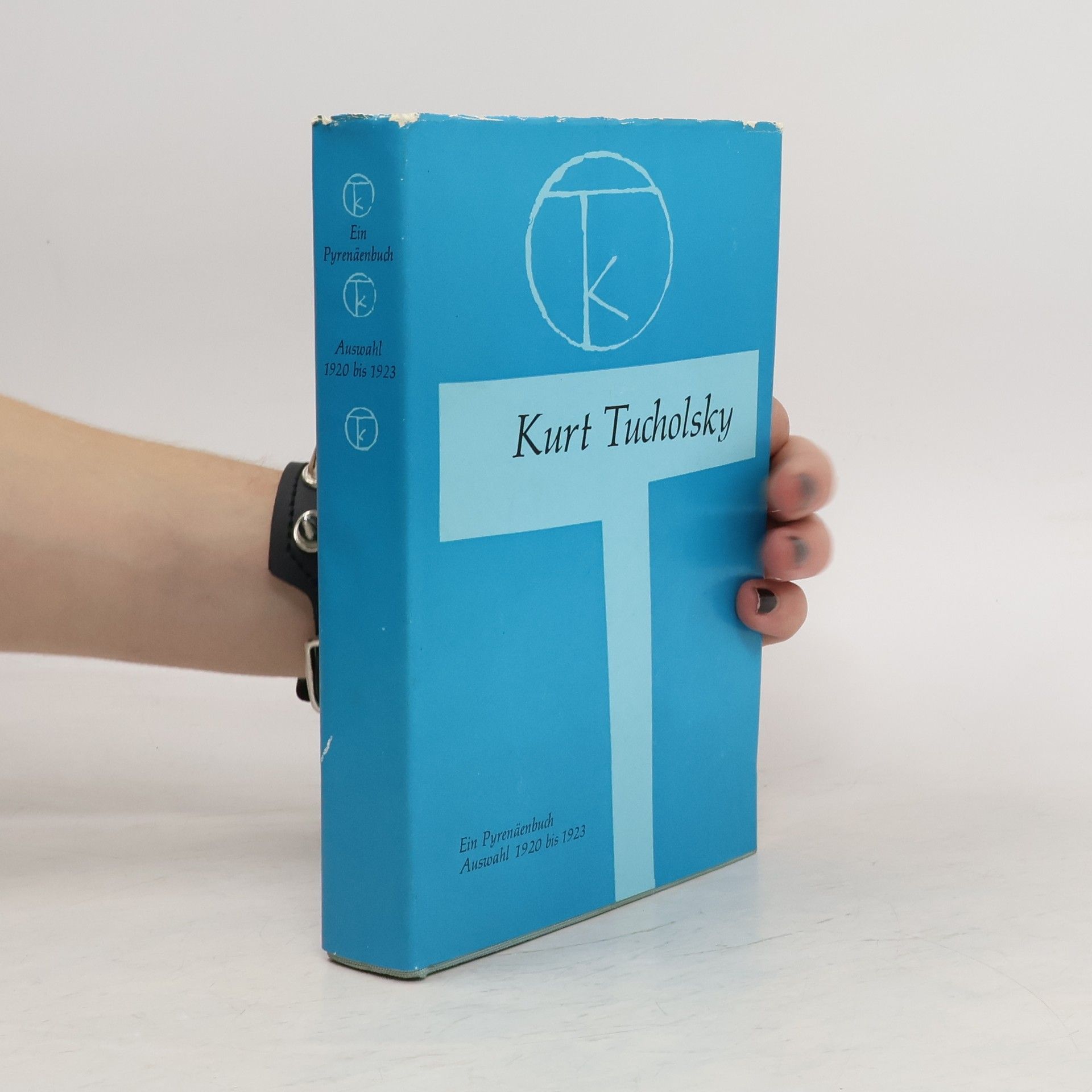 Kurt Tucholsky Ein Pyrenäenbuch Auswahl 1920 bis 1923