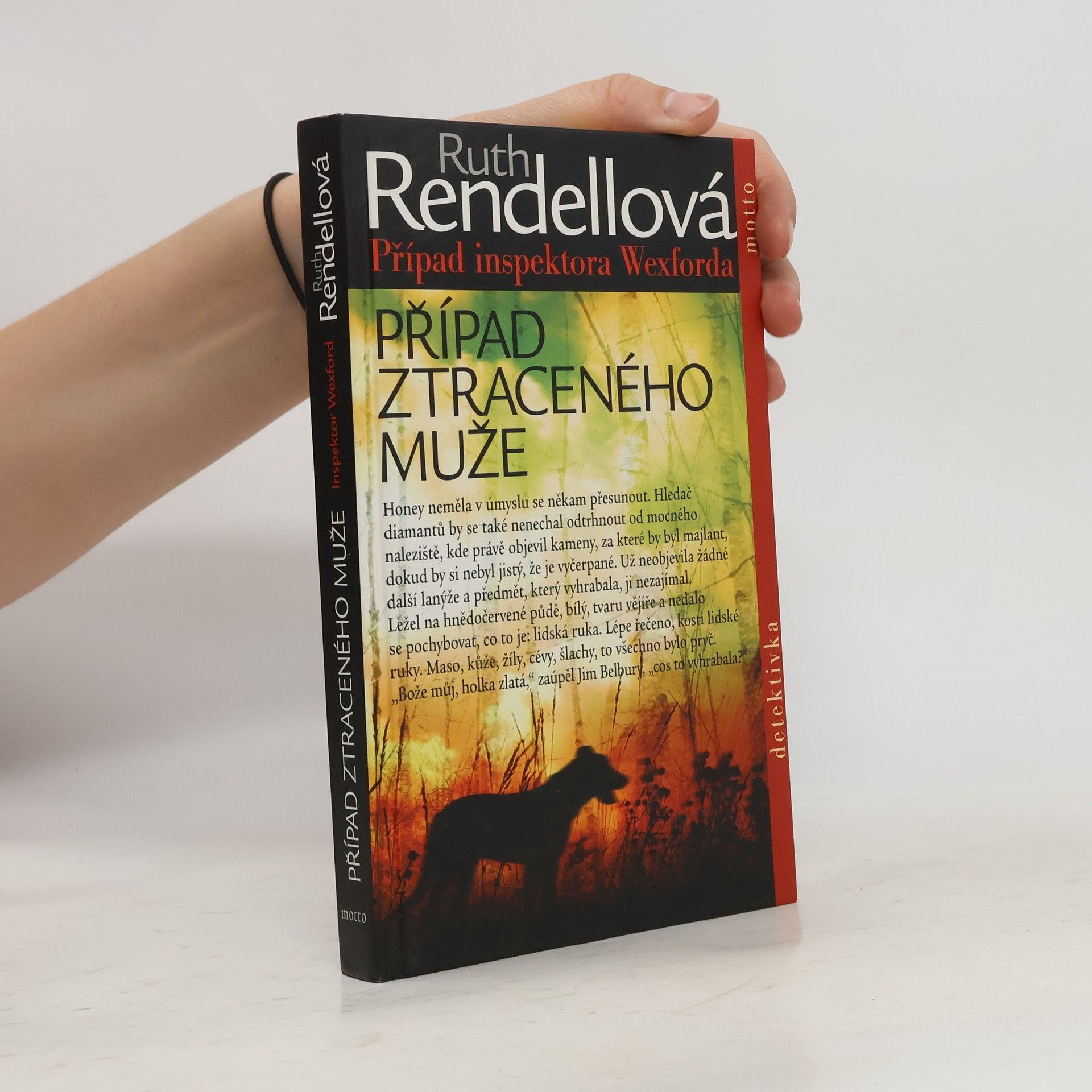Ruth Rendell Případ ztraceného muže