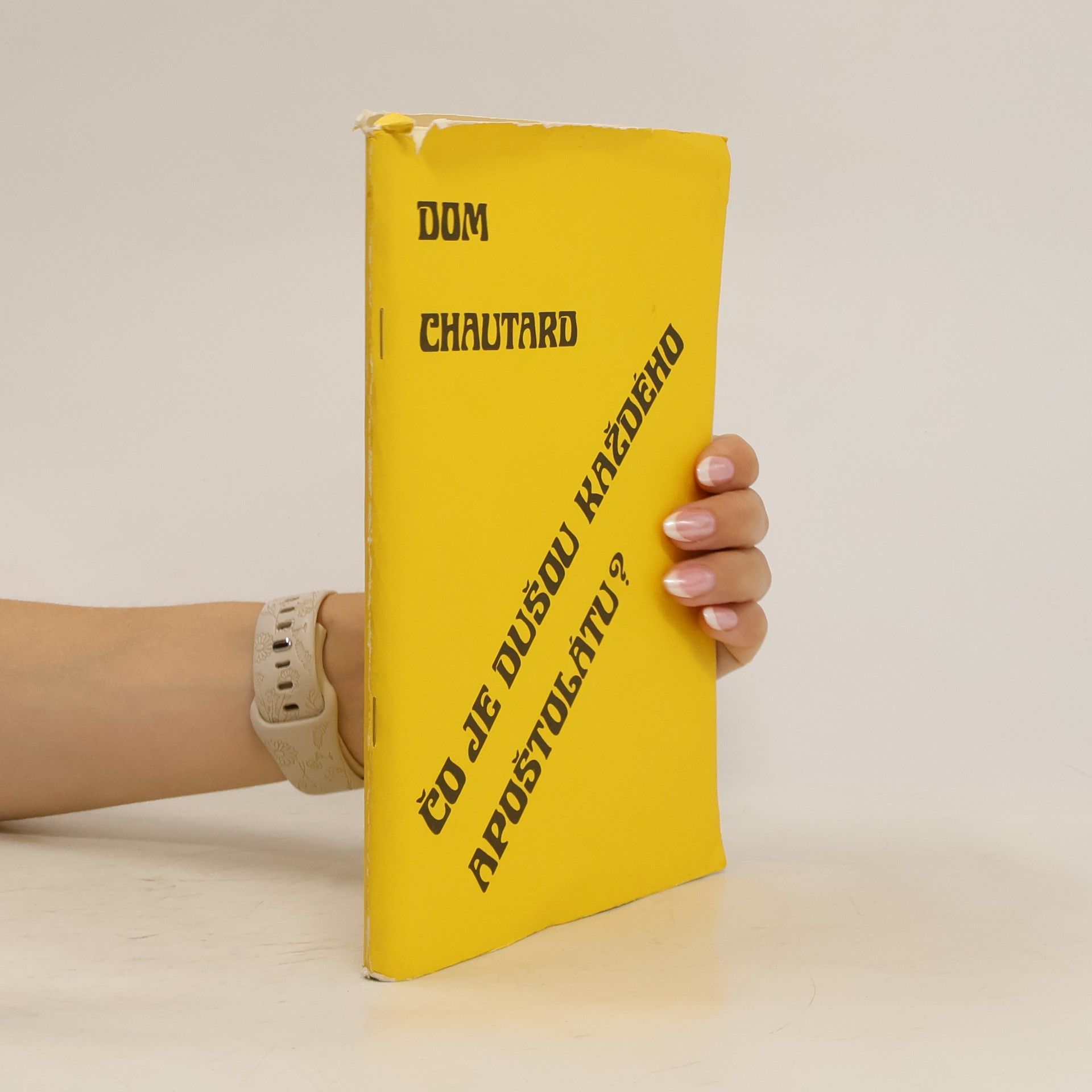 Dom Chautard Čo je dušou každého apoštolátu?