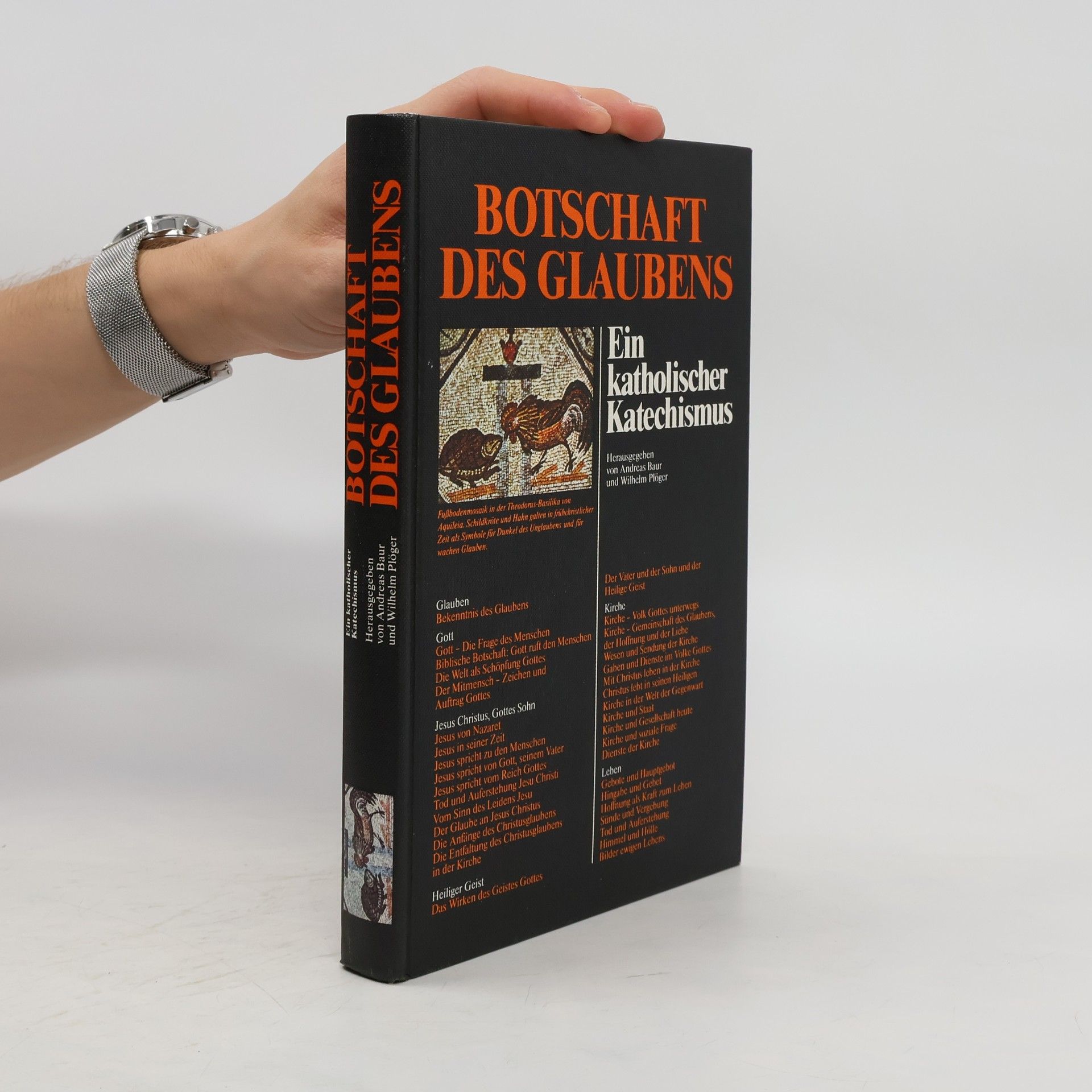 Andreas Baur Botschaft des Glaubens. Ein Katholischer Katechismus