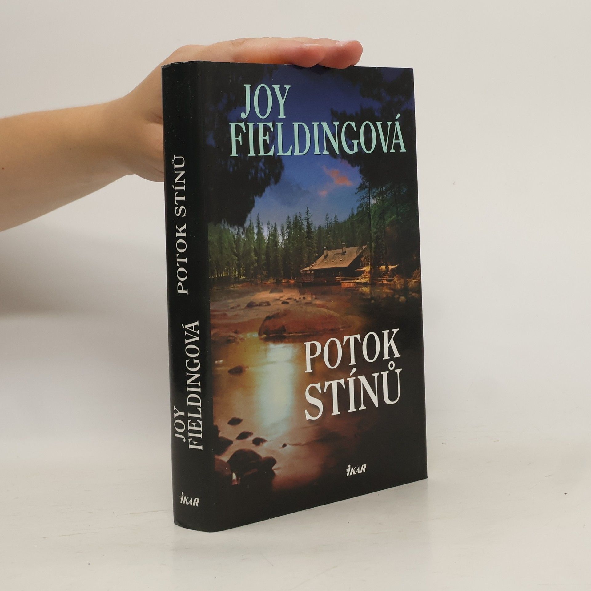 Joy Fielding Potok stínů