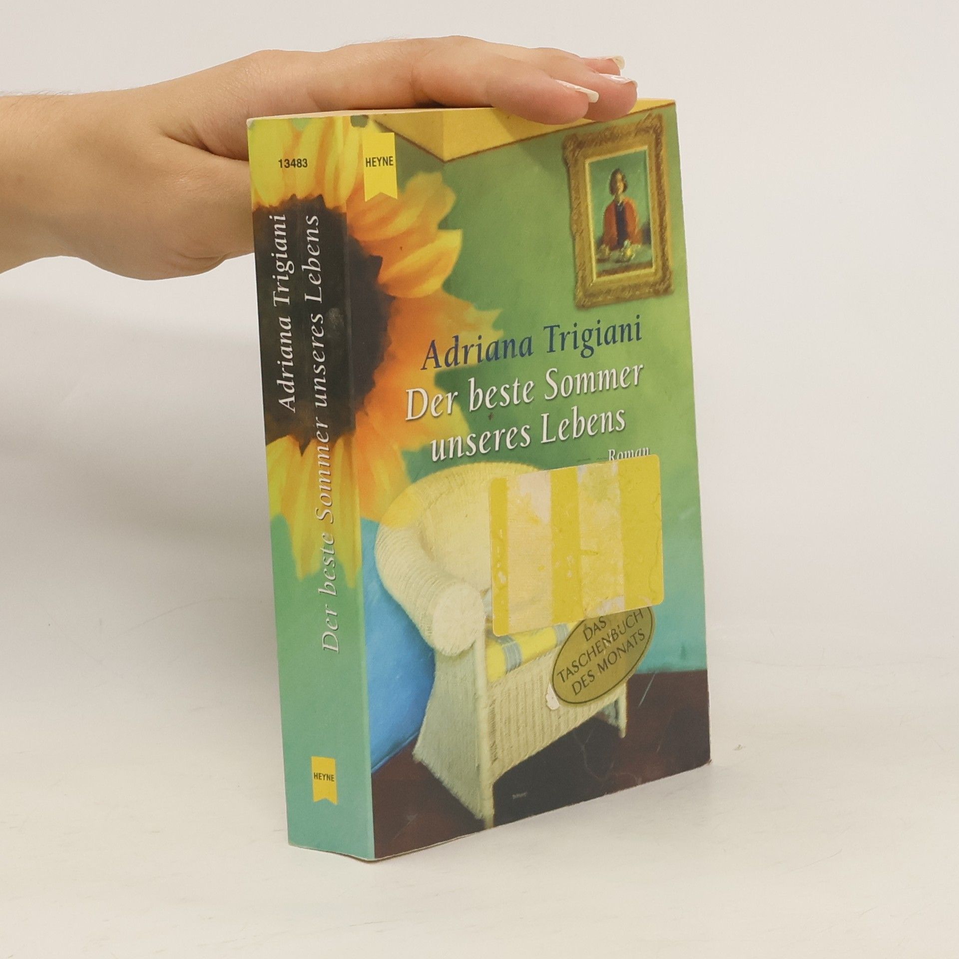 Adriana Trigiani Der beste Sommer unseres Lebens