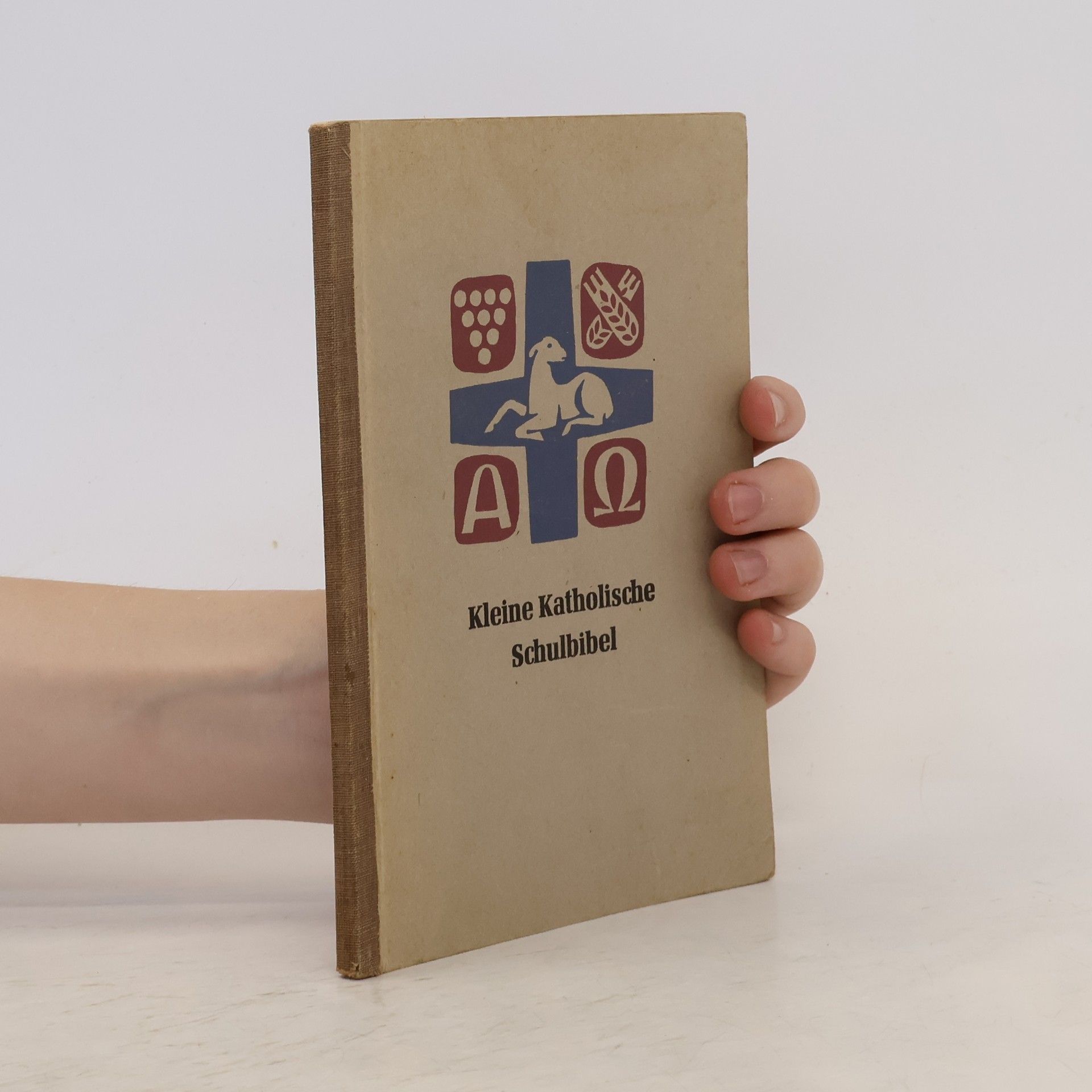 Autorenkollektiv Kleine Katholische Schulbible