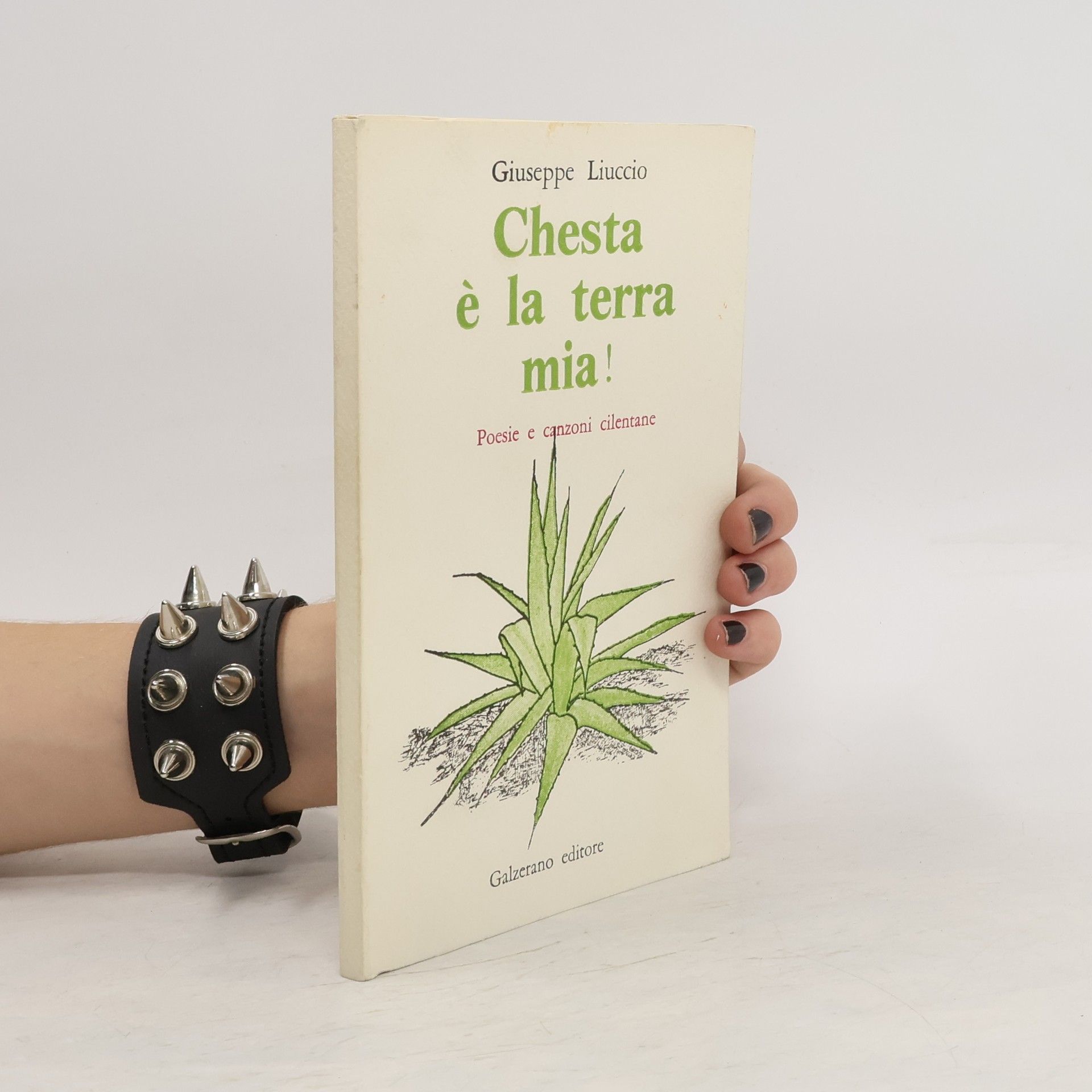 Giuseppe Liuccio  Chesta é la terra mia!