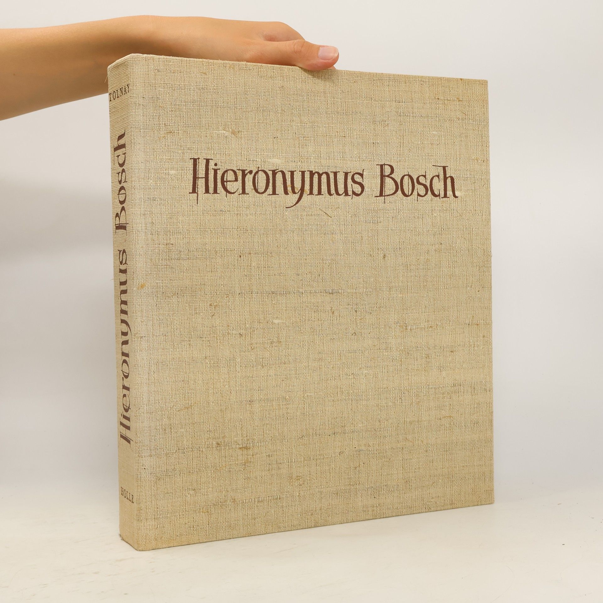 Autores varios Hieronymus Bosch