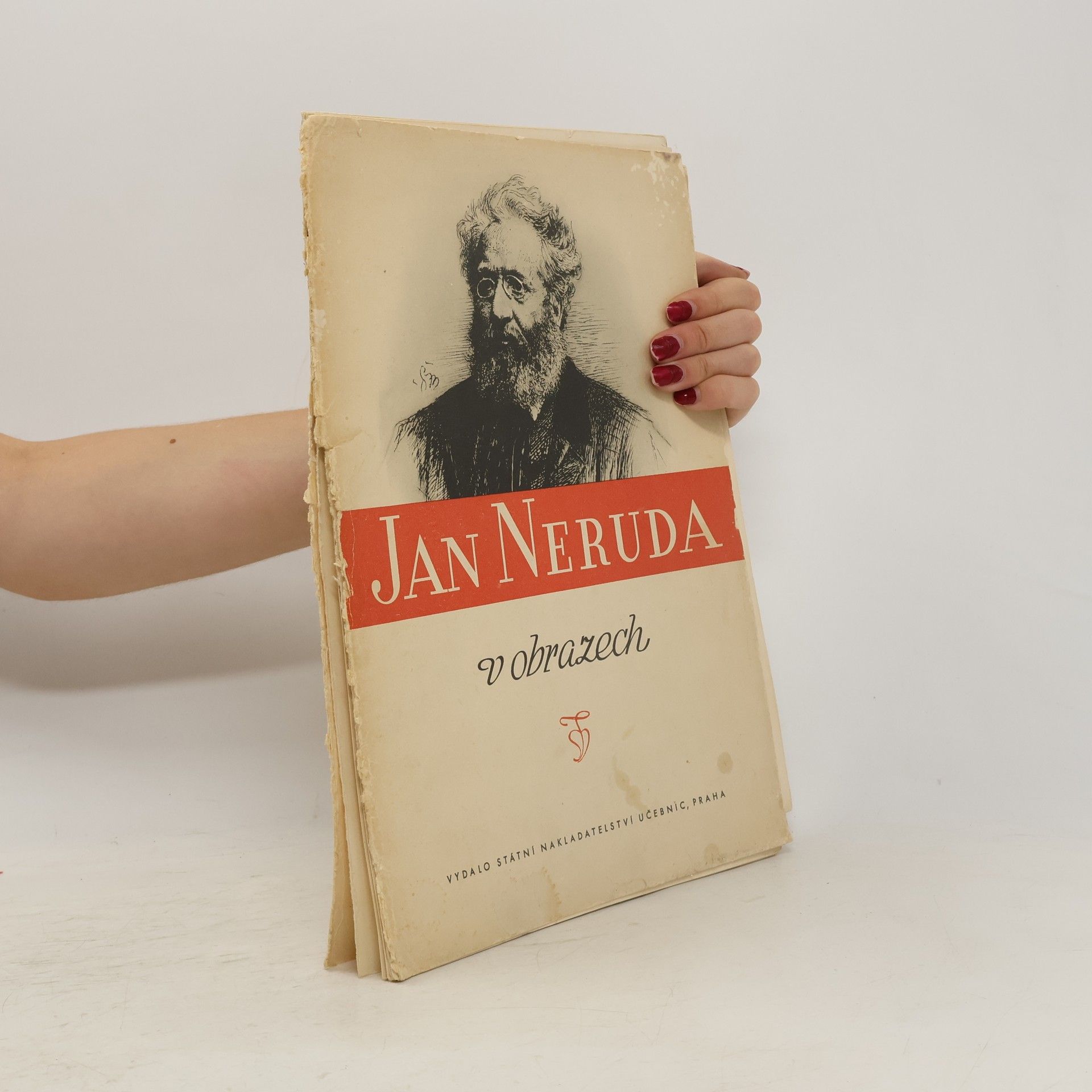 AA.VV. Jan Neruda v obrazech