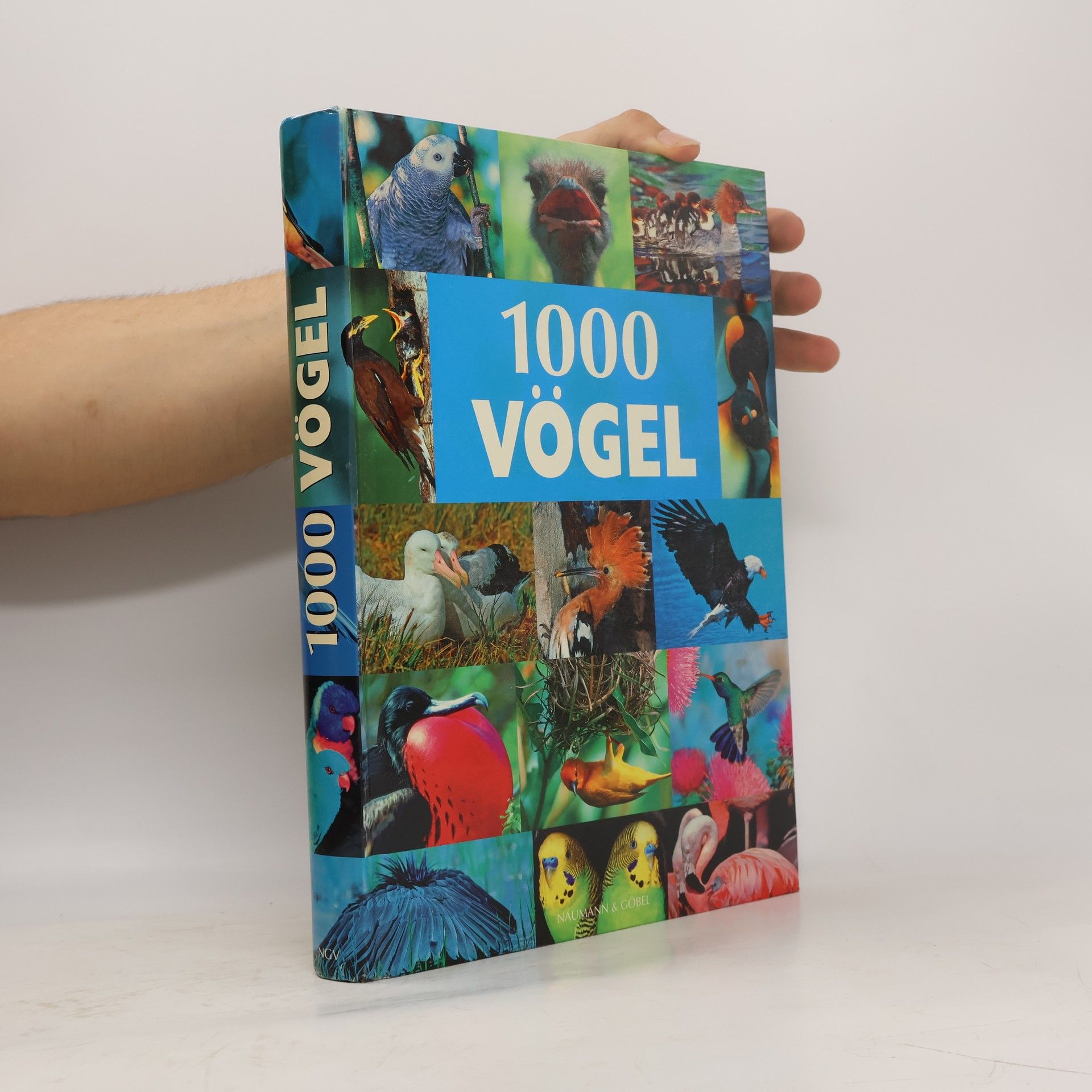 Volker Dierschke 1000 Vögel