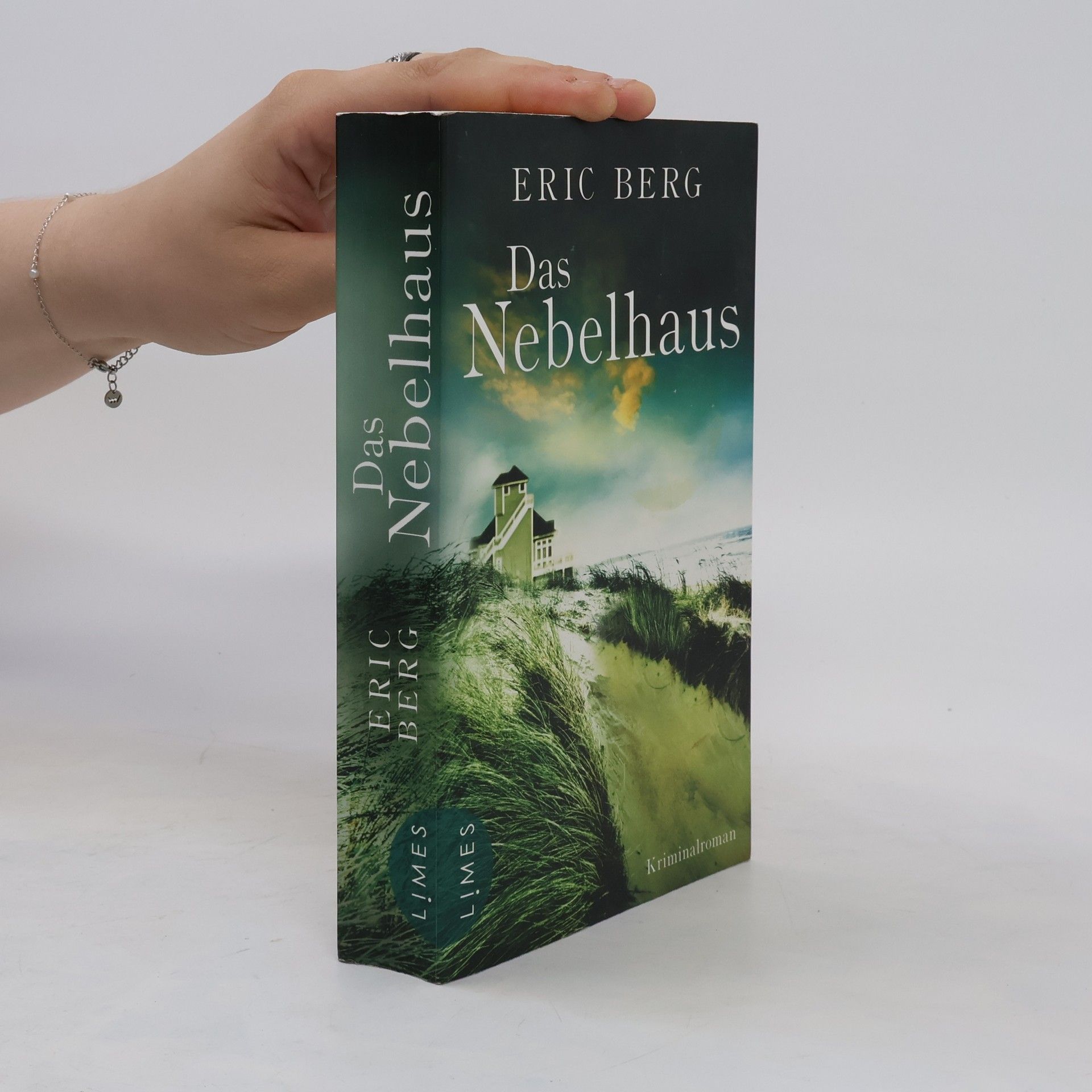 Eric Berg Das Nebelhaus
