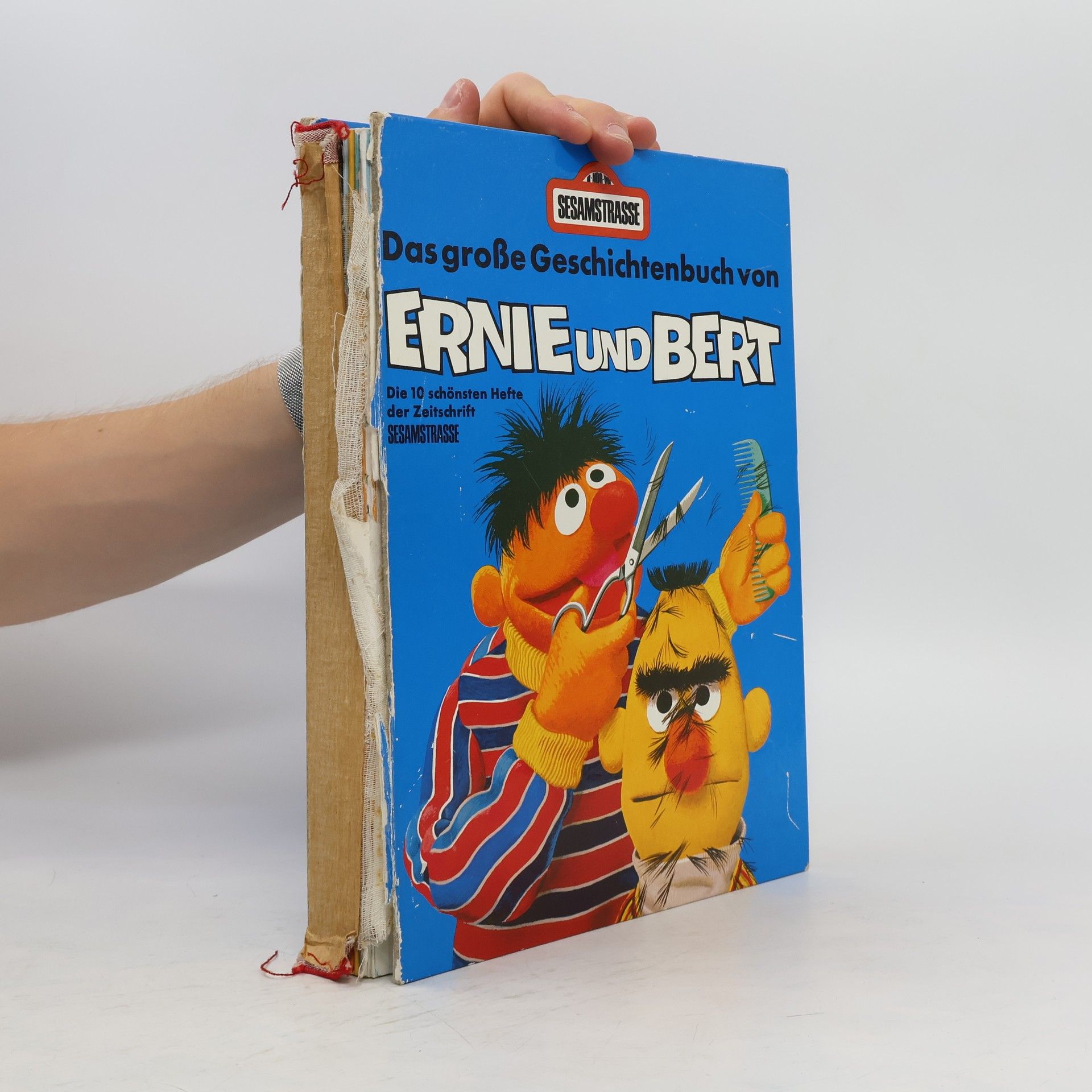 kolektiv Das große Geschichtenbuch von Ernie und Bert