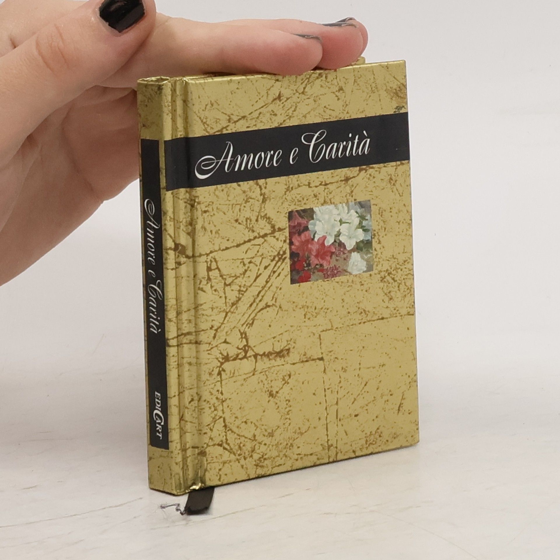 Collectif d'auteurs Amore e carità