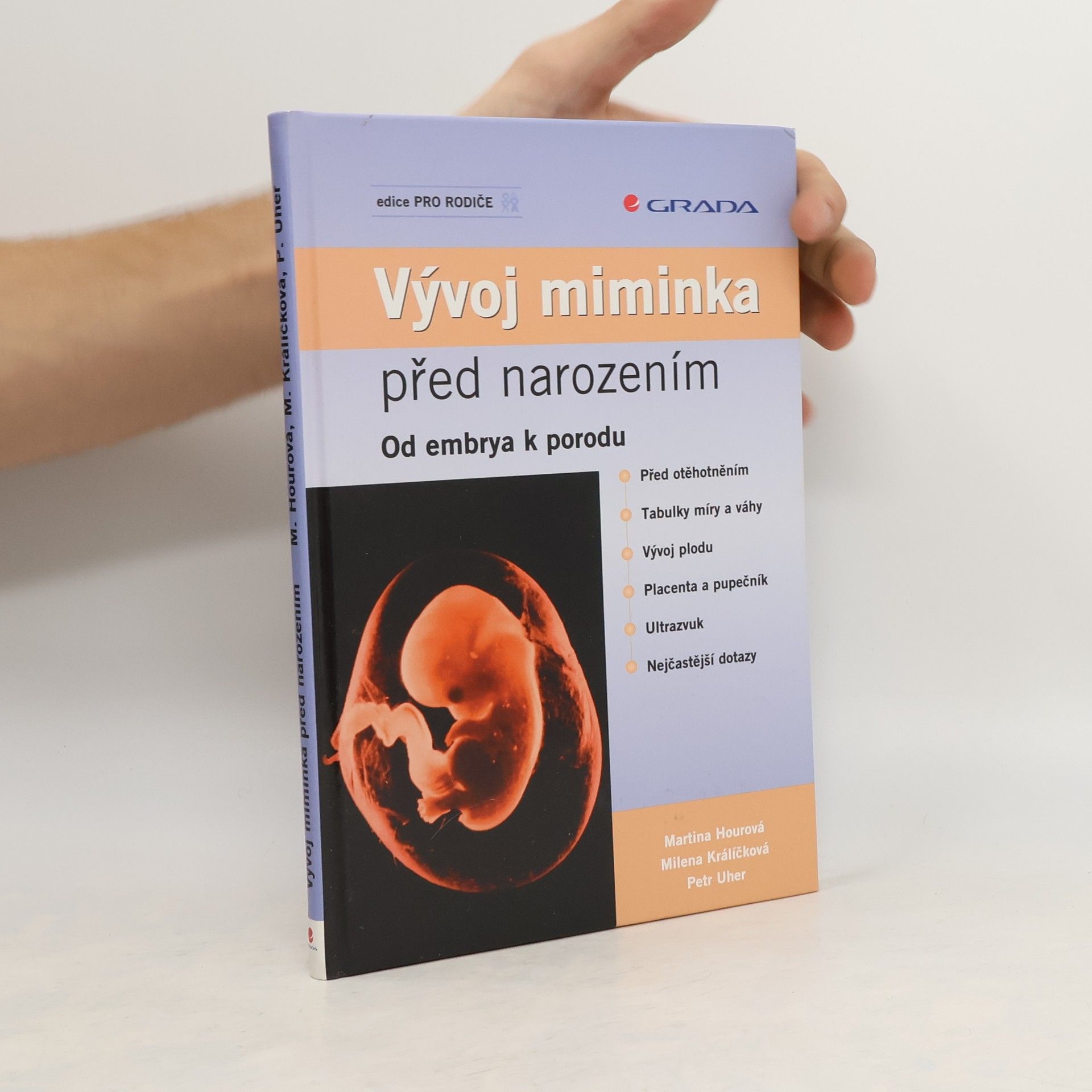 Milena Králíčková Vývoj miminka před narozením