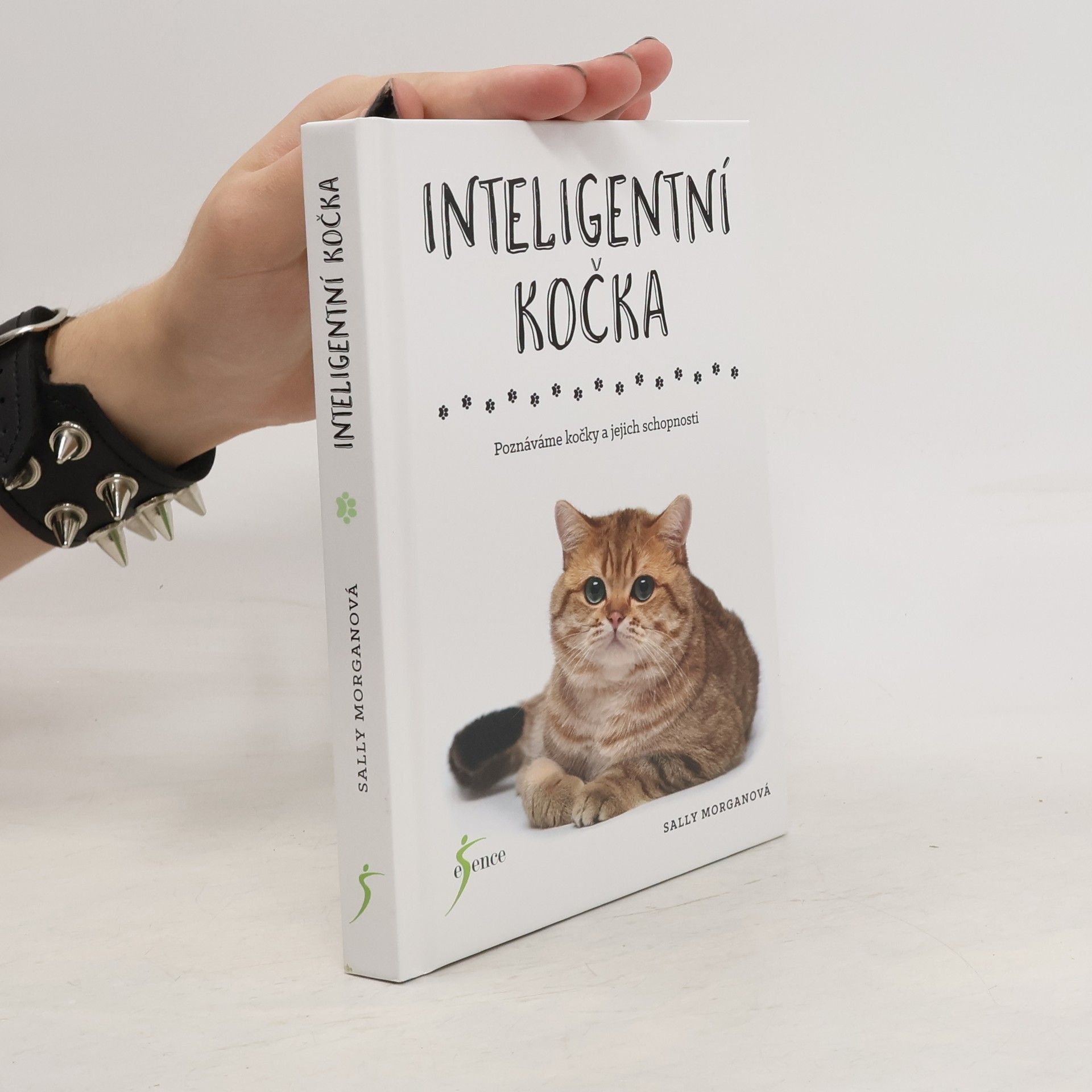 Inteligentní kočka : poznáváme kočky a jejich schopnosti