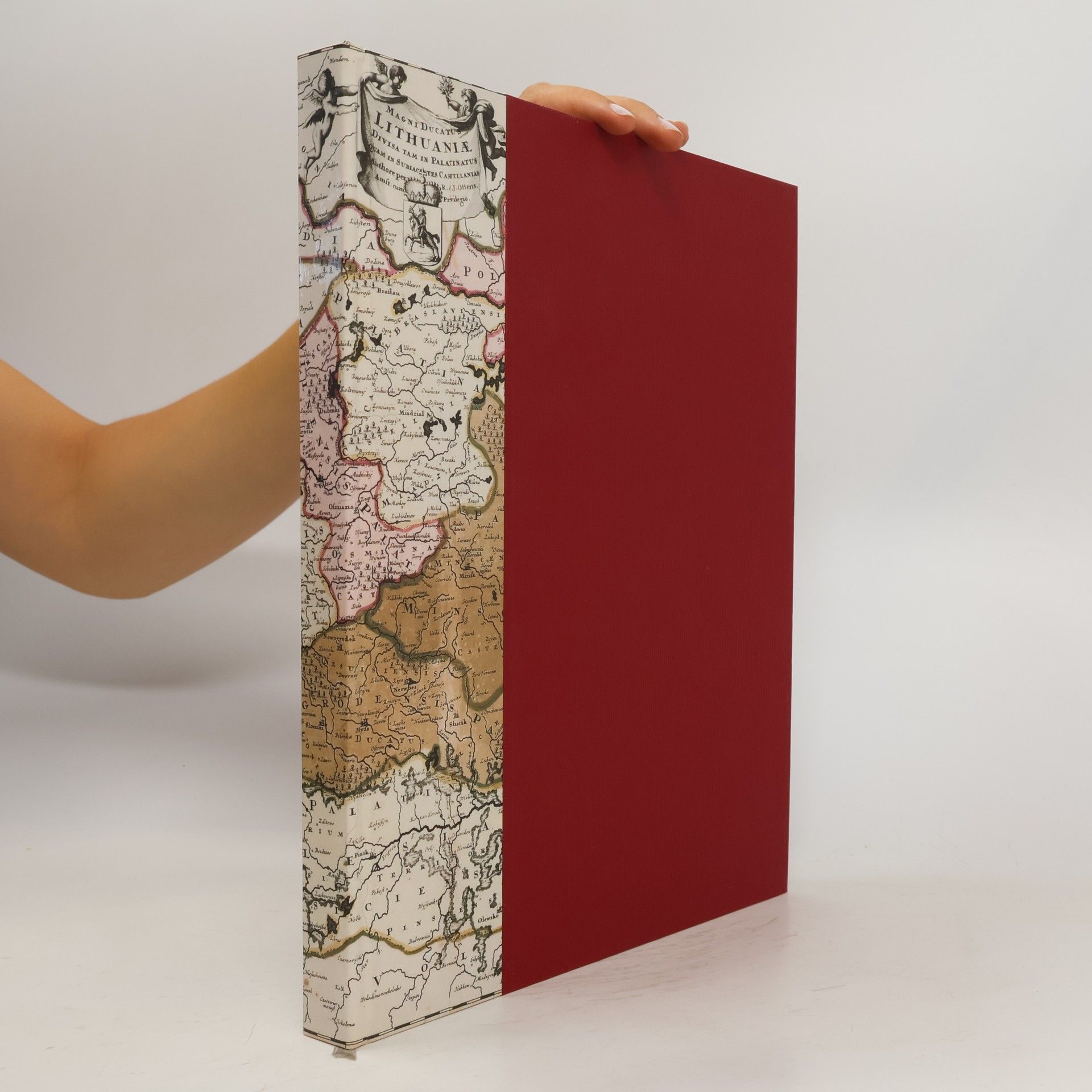 Rolandas Valiūnas Delineatio Lituae