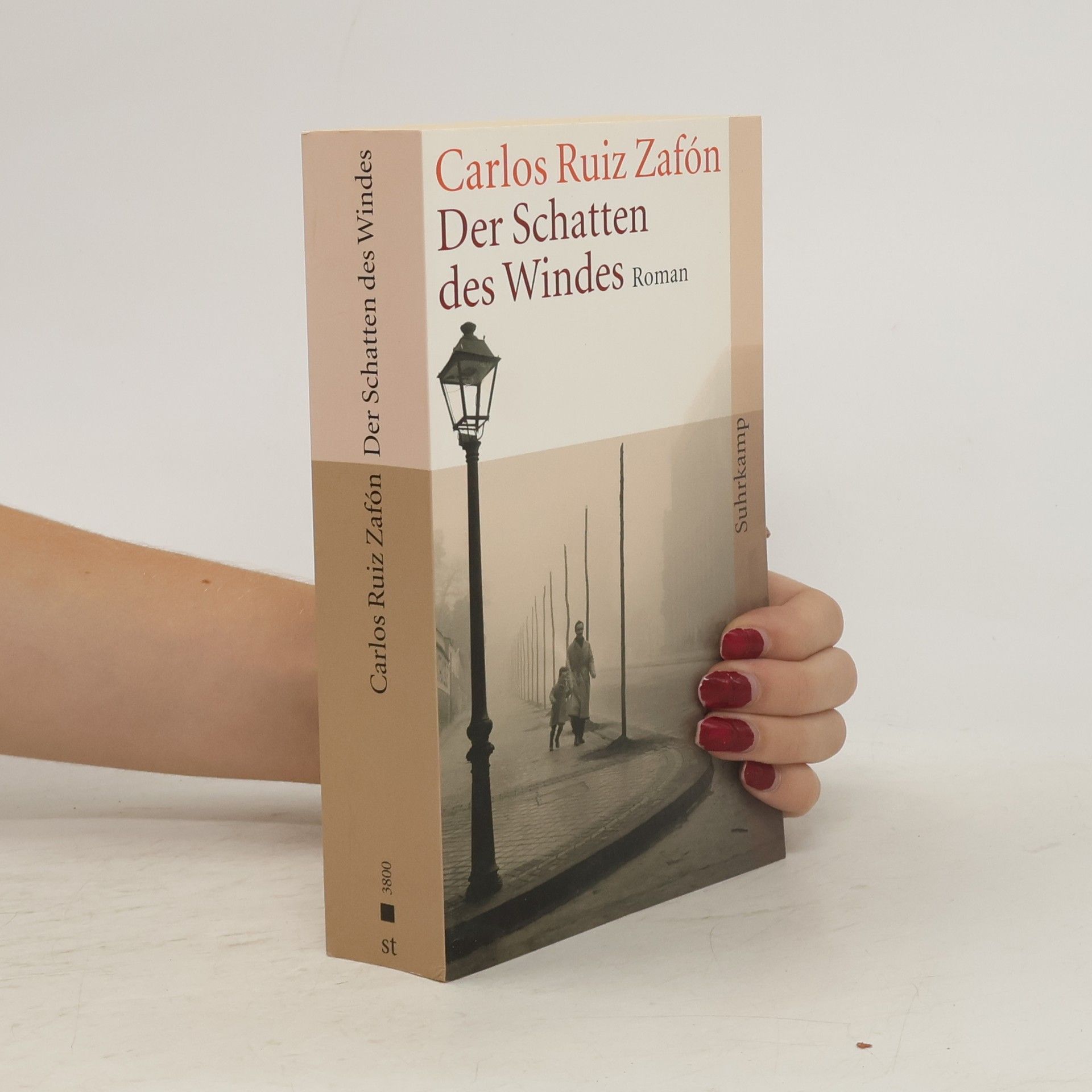 Carlos Ruiz Zafón Der Schatten des Windes