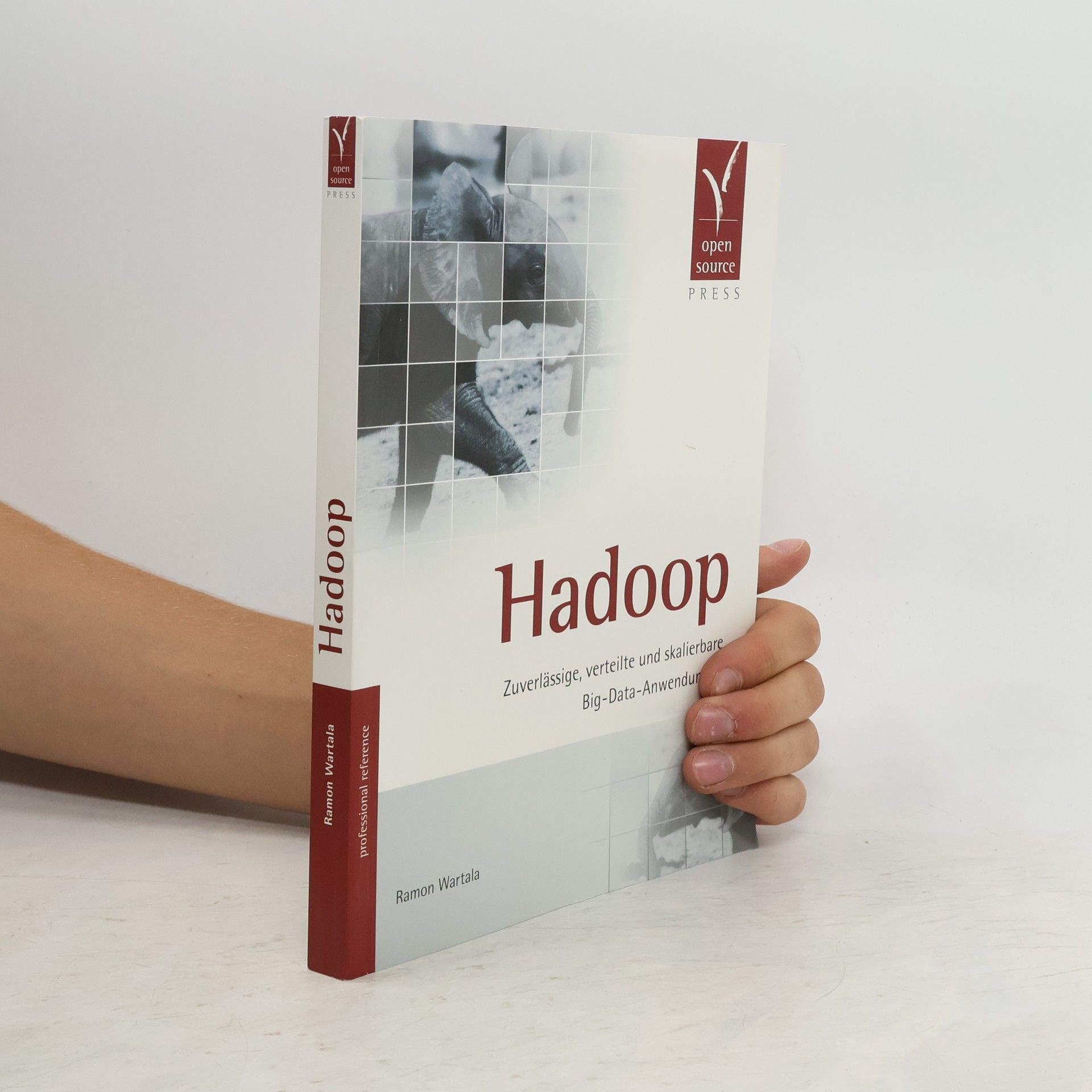 Ramon Wartala Hadoop