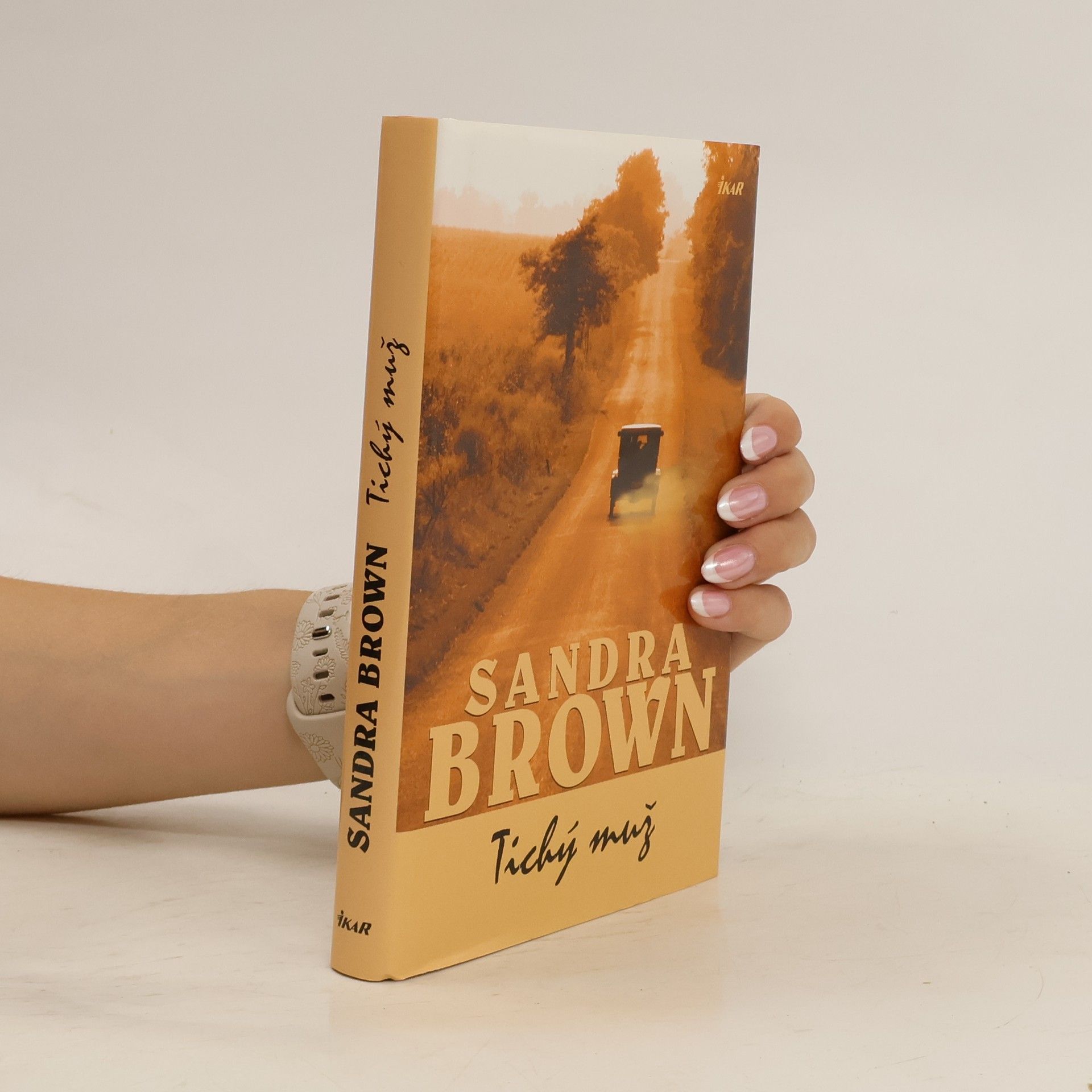 Sandra Brown Tichý muž