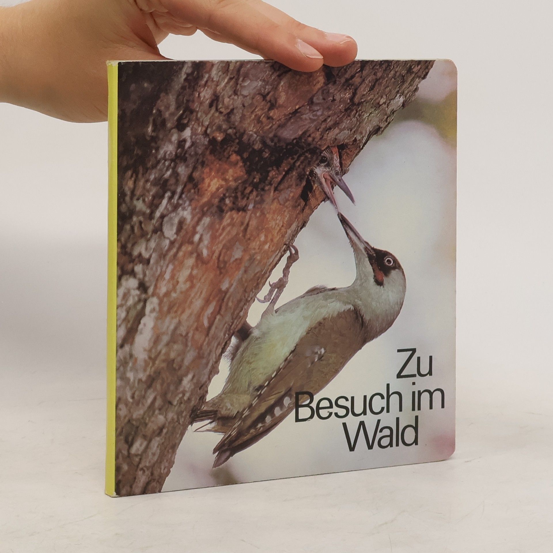 Collectif d'auteurs Zu Besuch im Wald