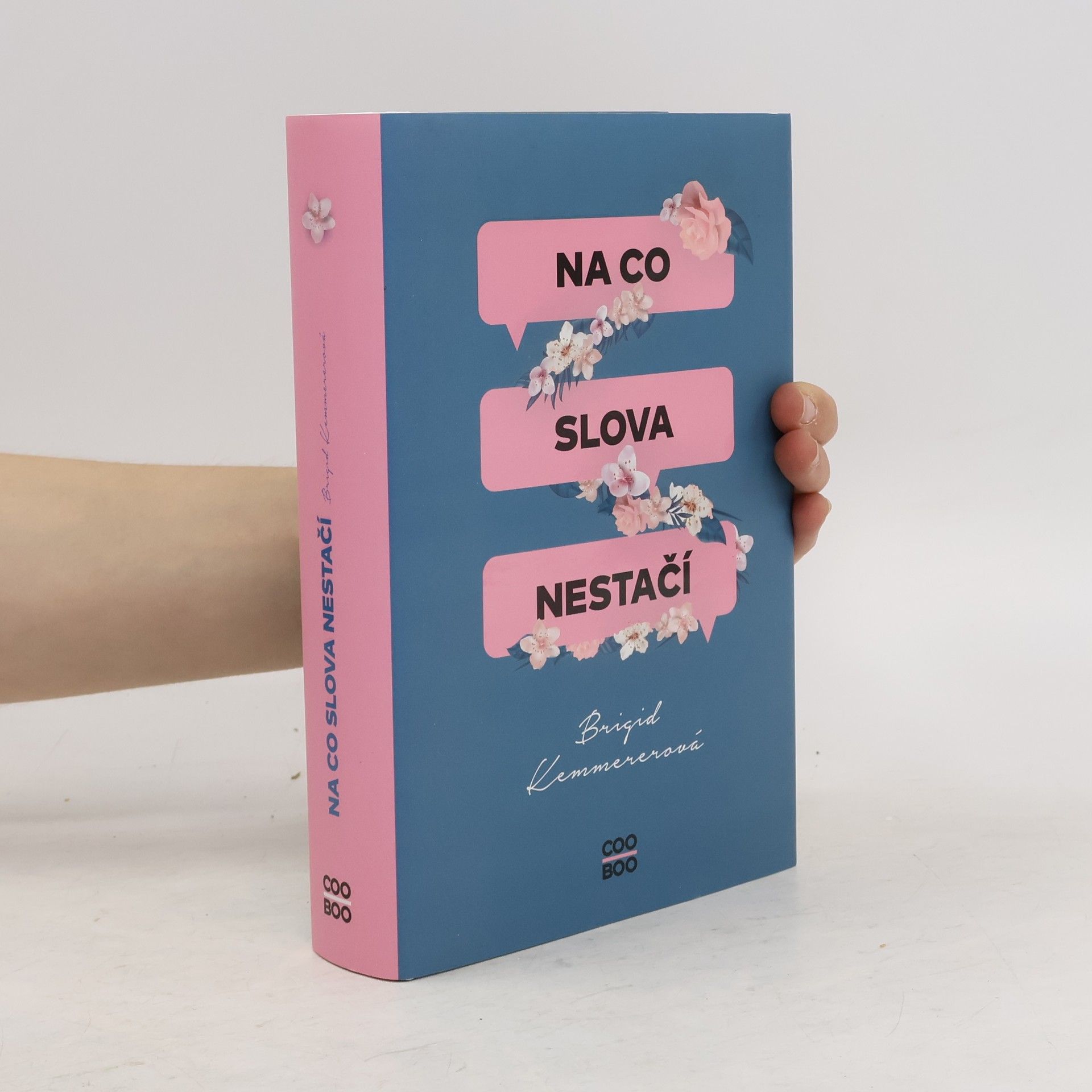 Brigid Kemmerer Na co slova nestačí