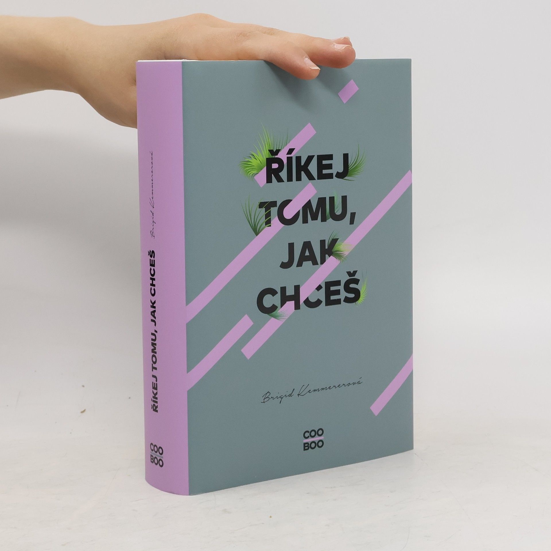 Brigid Kemmerer Říkej tomu, jak chceš