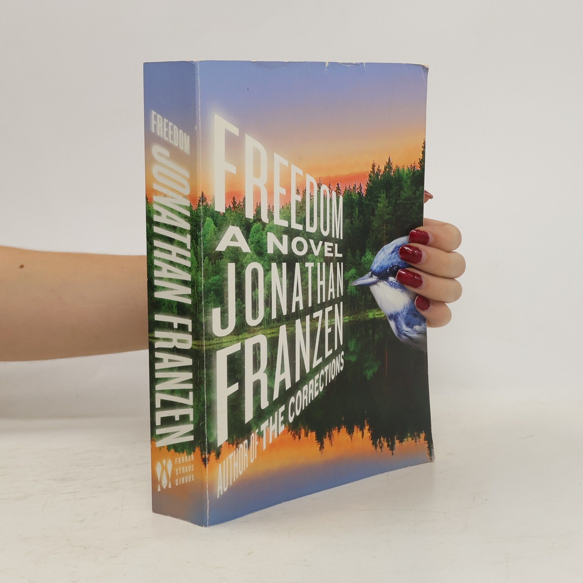 Jonathan Franzen Freedom