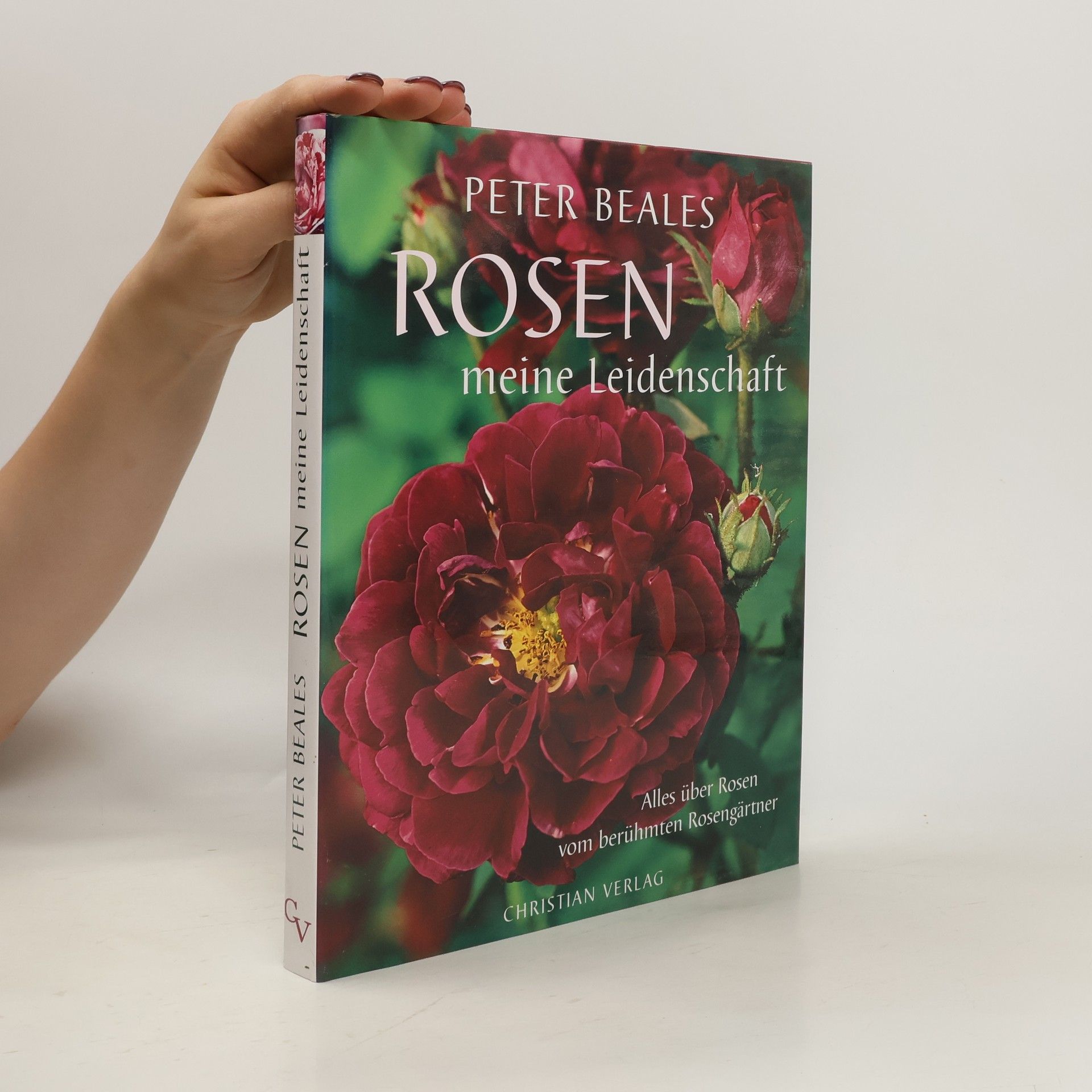 Peter Beales Rosen, meine Leidenschaft