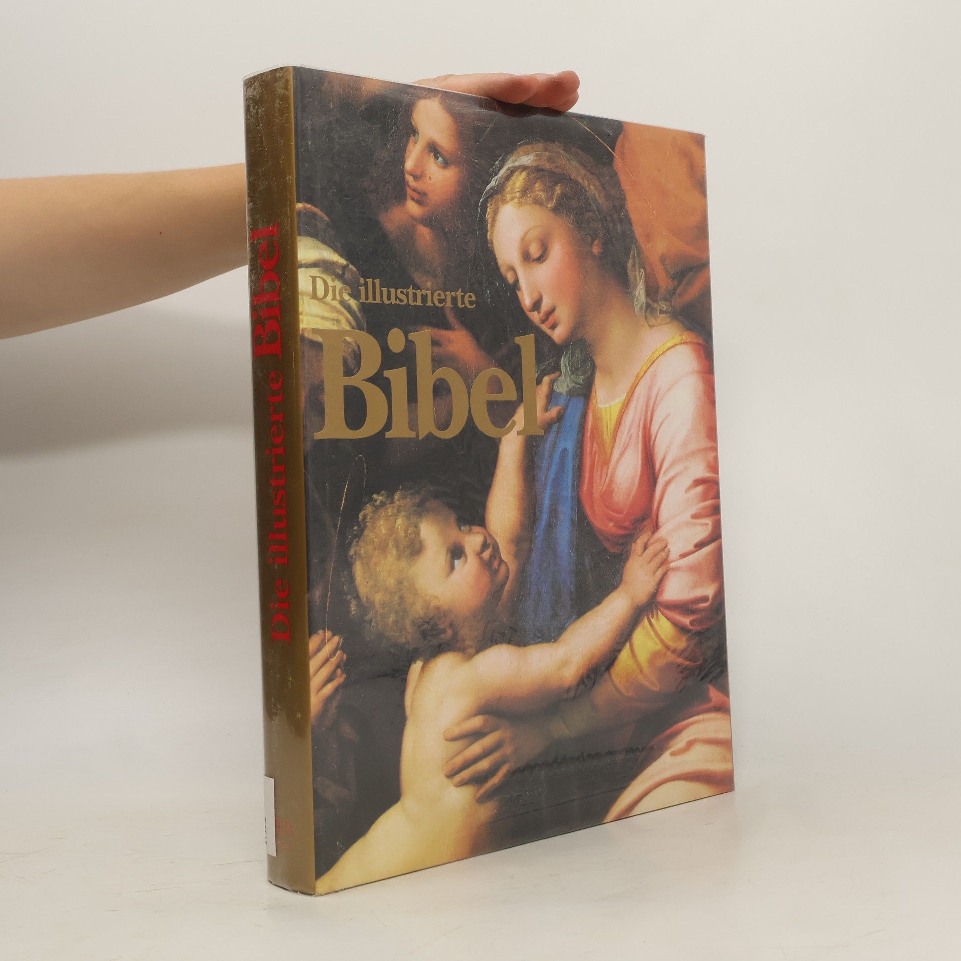 Dominque Spiess Die illustrierte Bibel