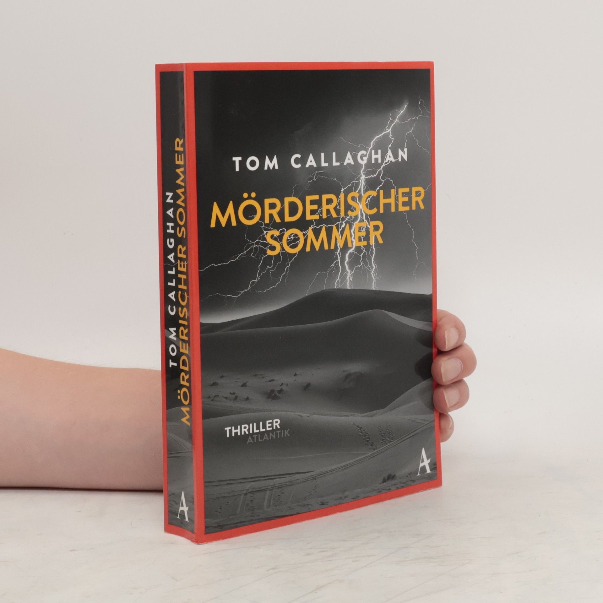 Tom Callaghan Mörderischer Sommer
