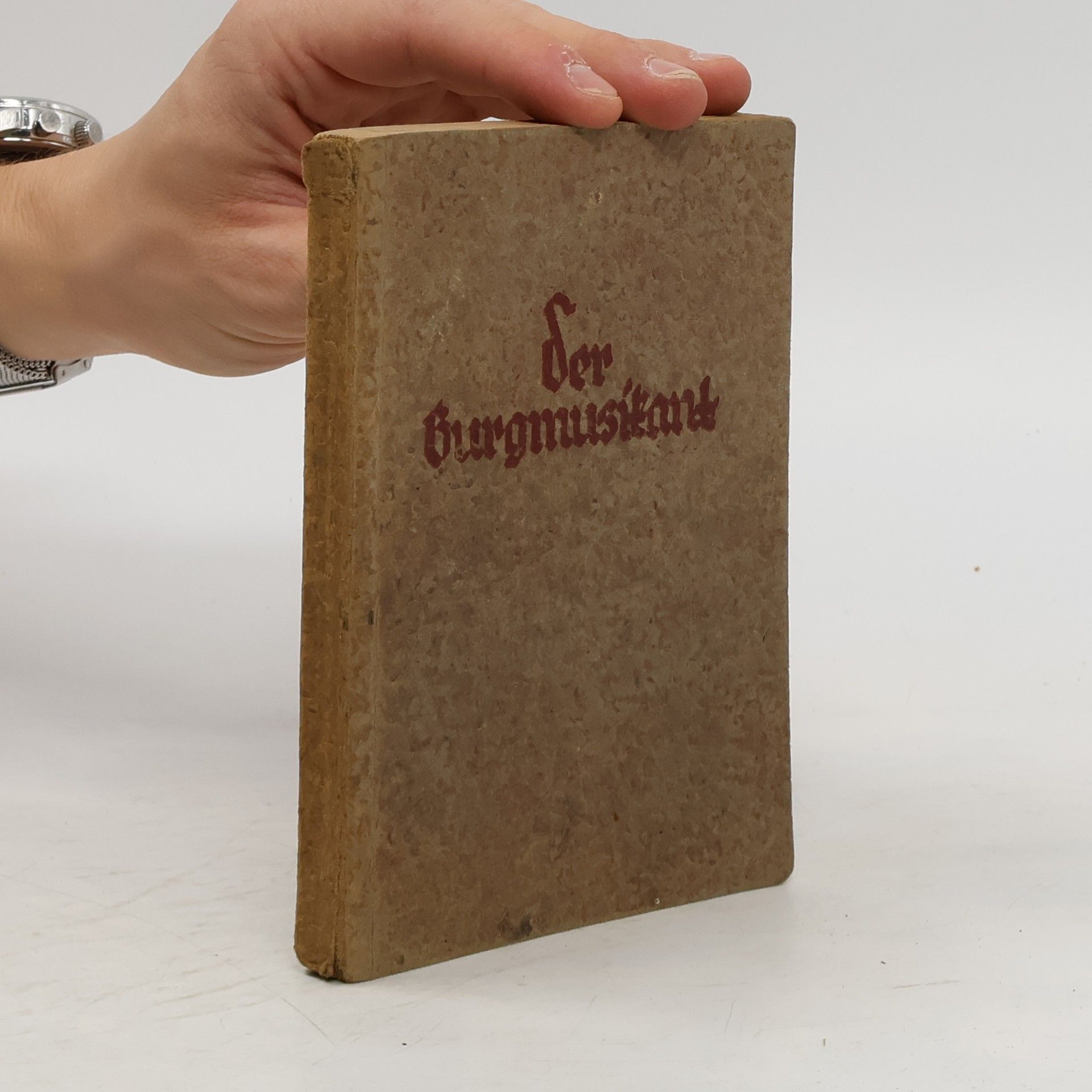 Collectif d'auteurs Der Burgmusikant