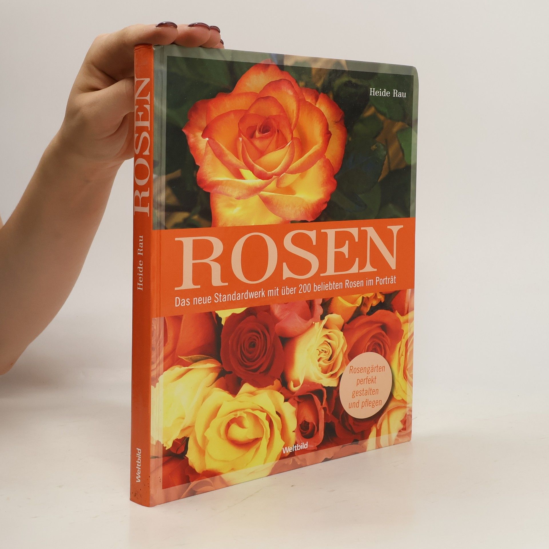Heide Rau Rosen