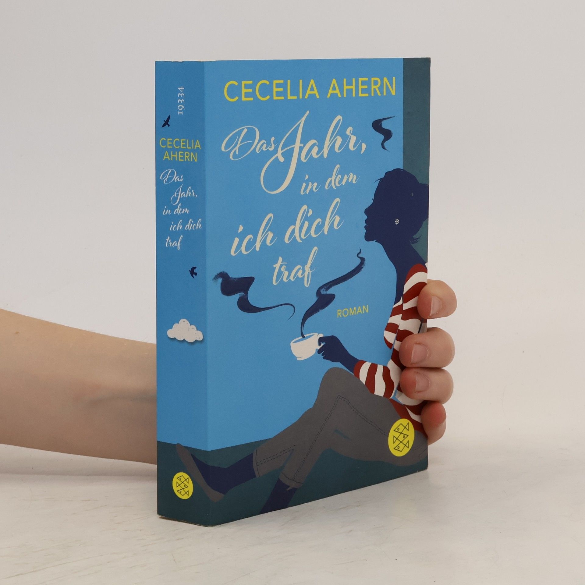 Cecelia Ahern Das Jahr, in dem ich dich traf