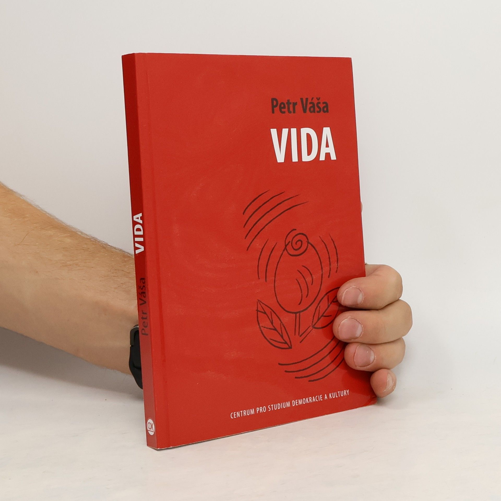 Petr Váša Vida