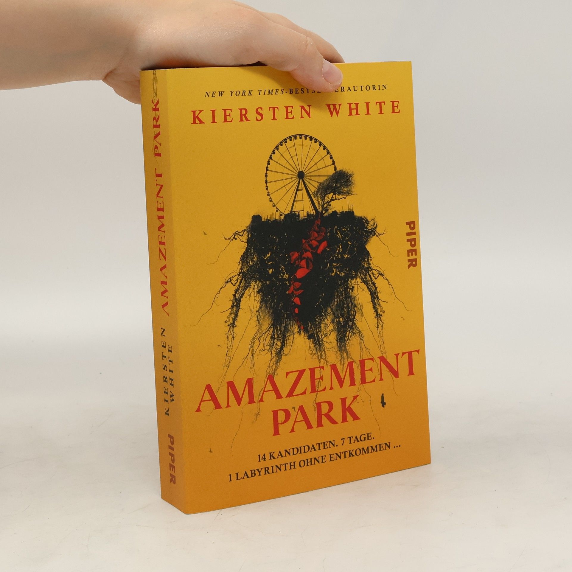 Kiersten White Amazement Park