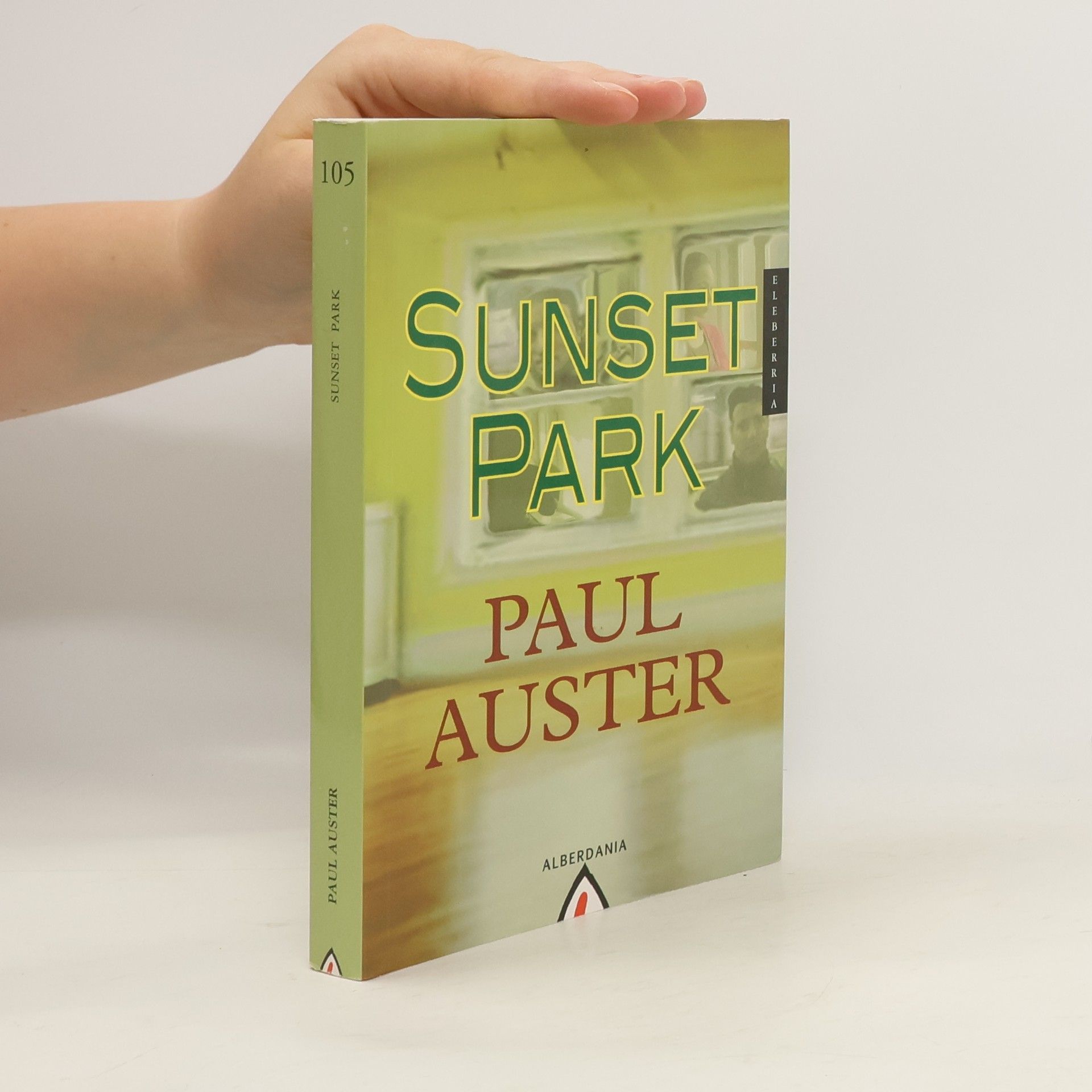 Paul Auster Sunset Park