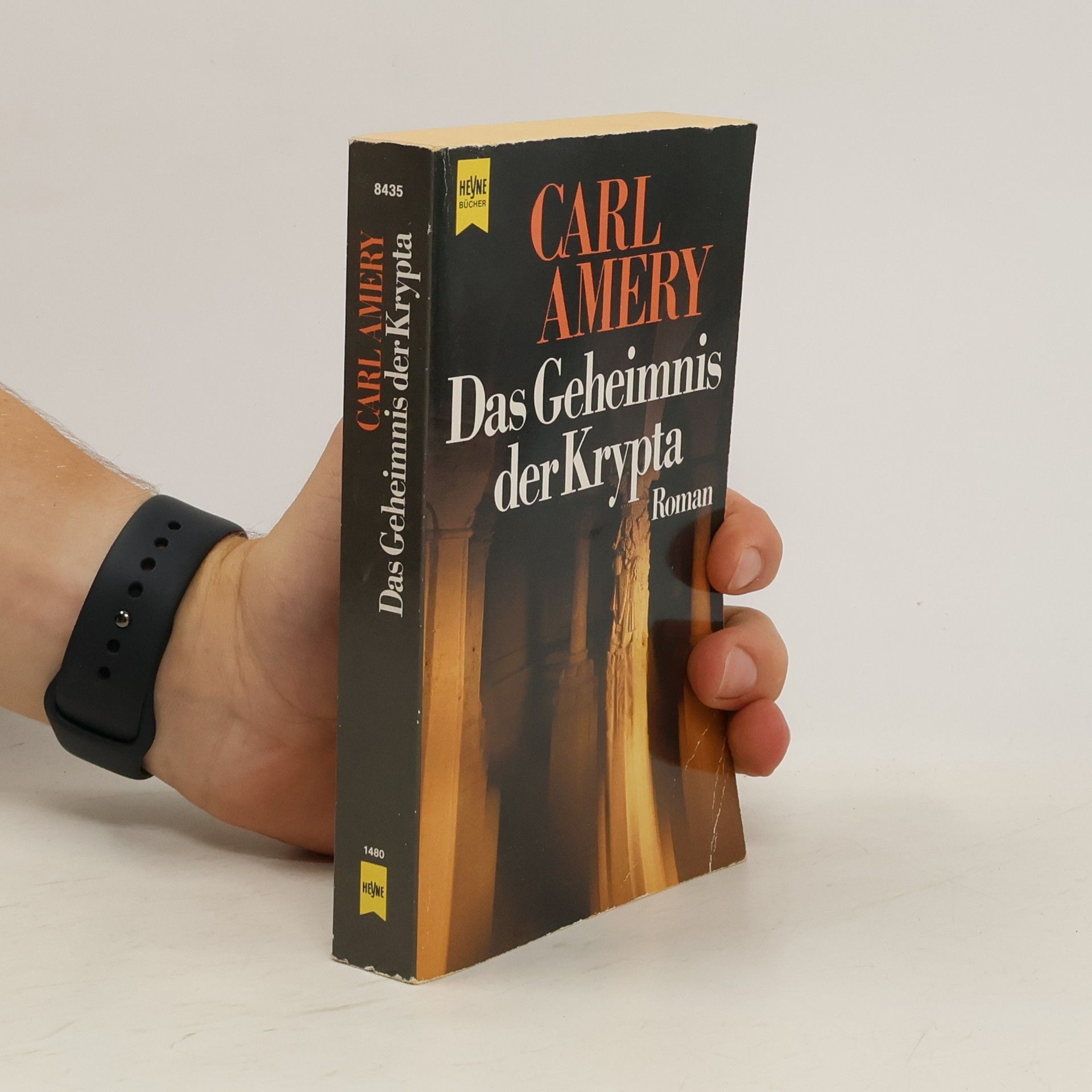 Carl Amery Das Geheimnis der Krypta