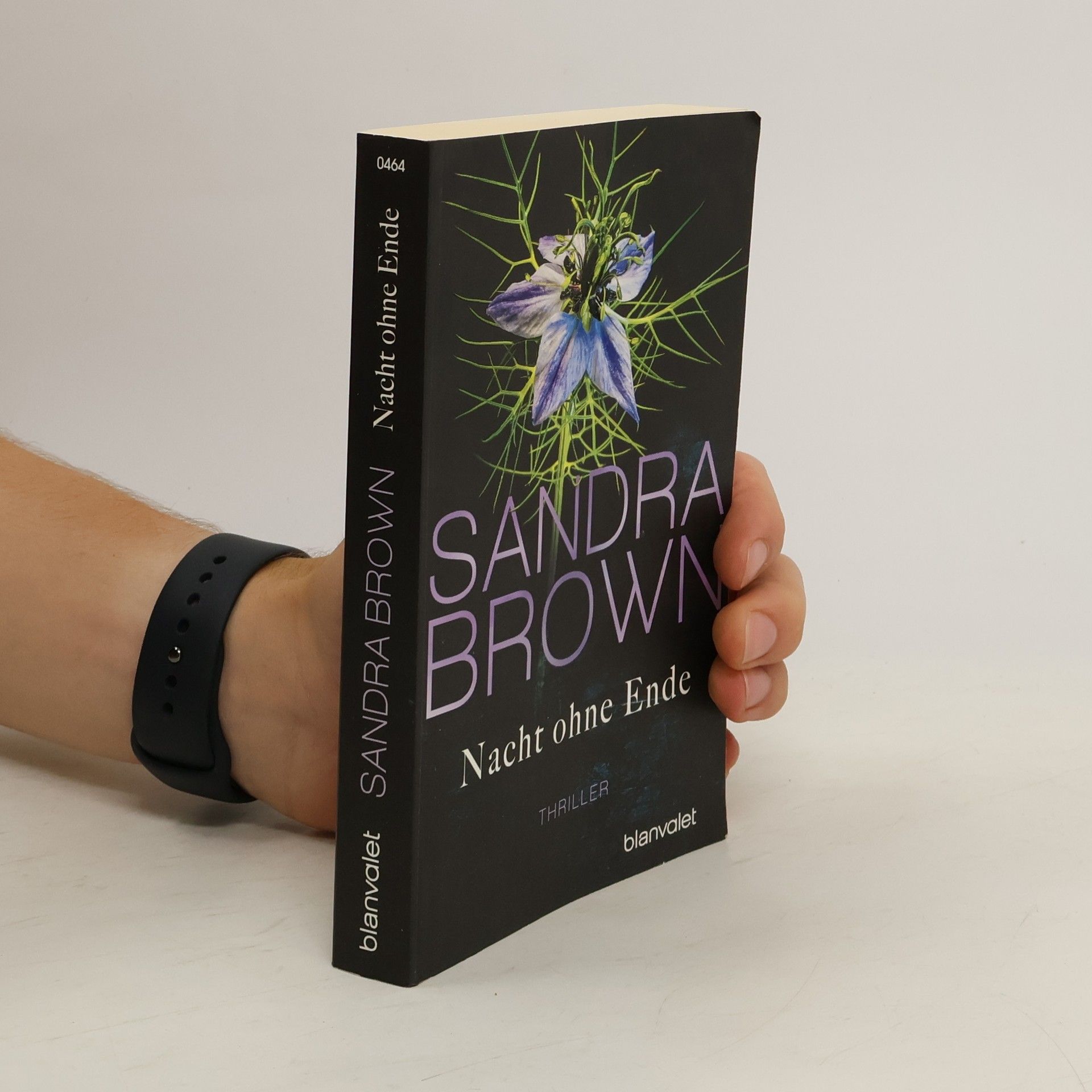 Sandra Brown Nacht ohne Ende