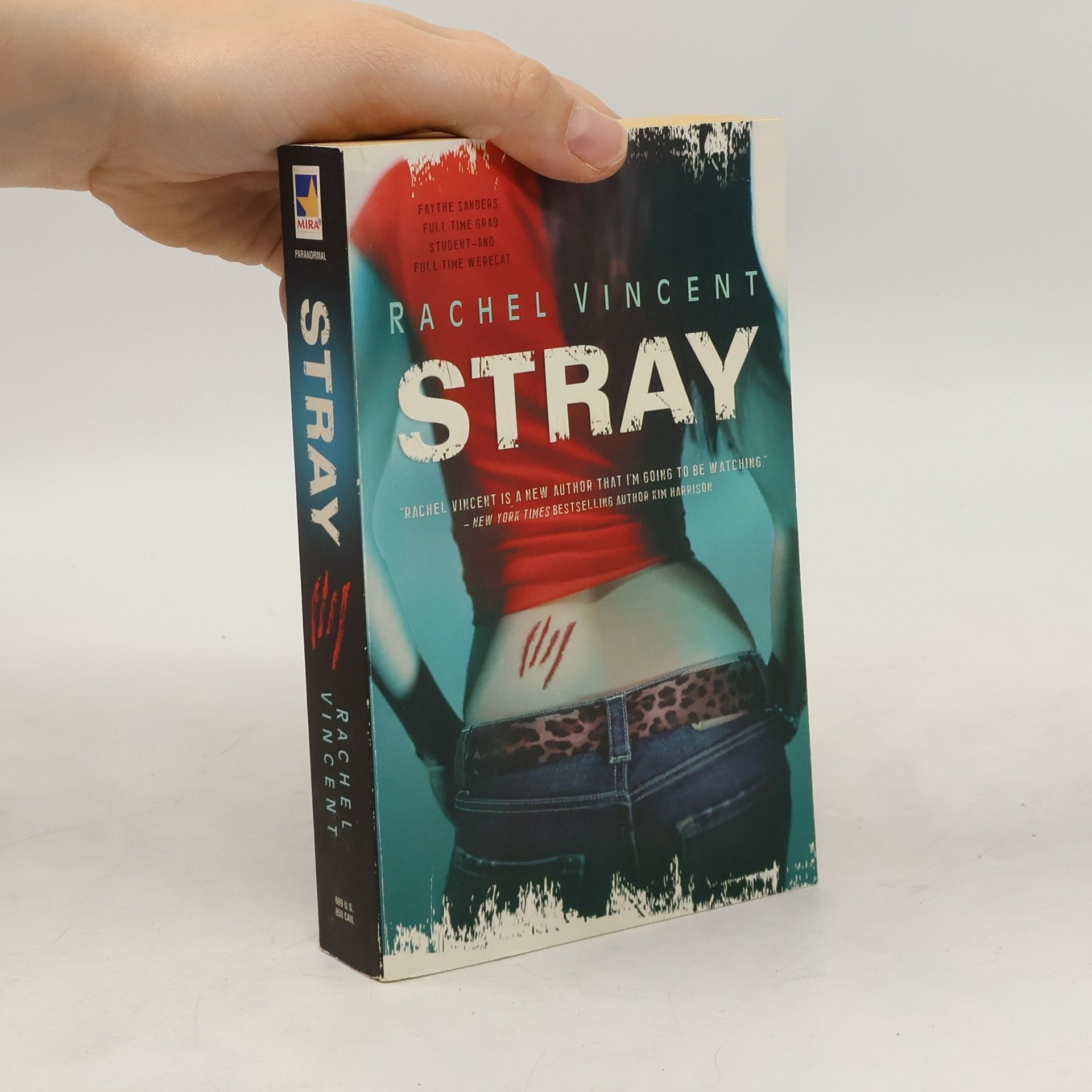 Rachel Vincent Stray