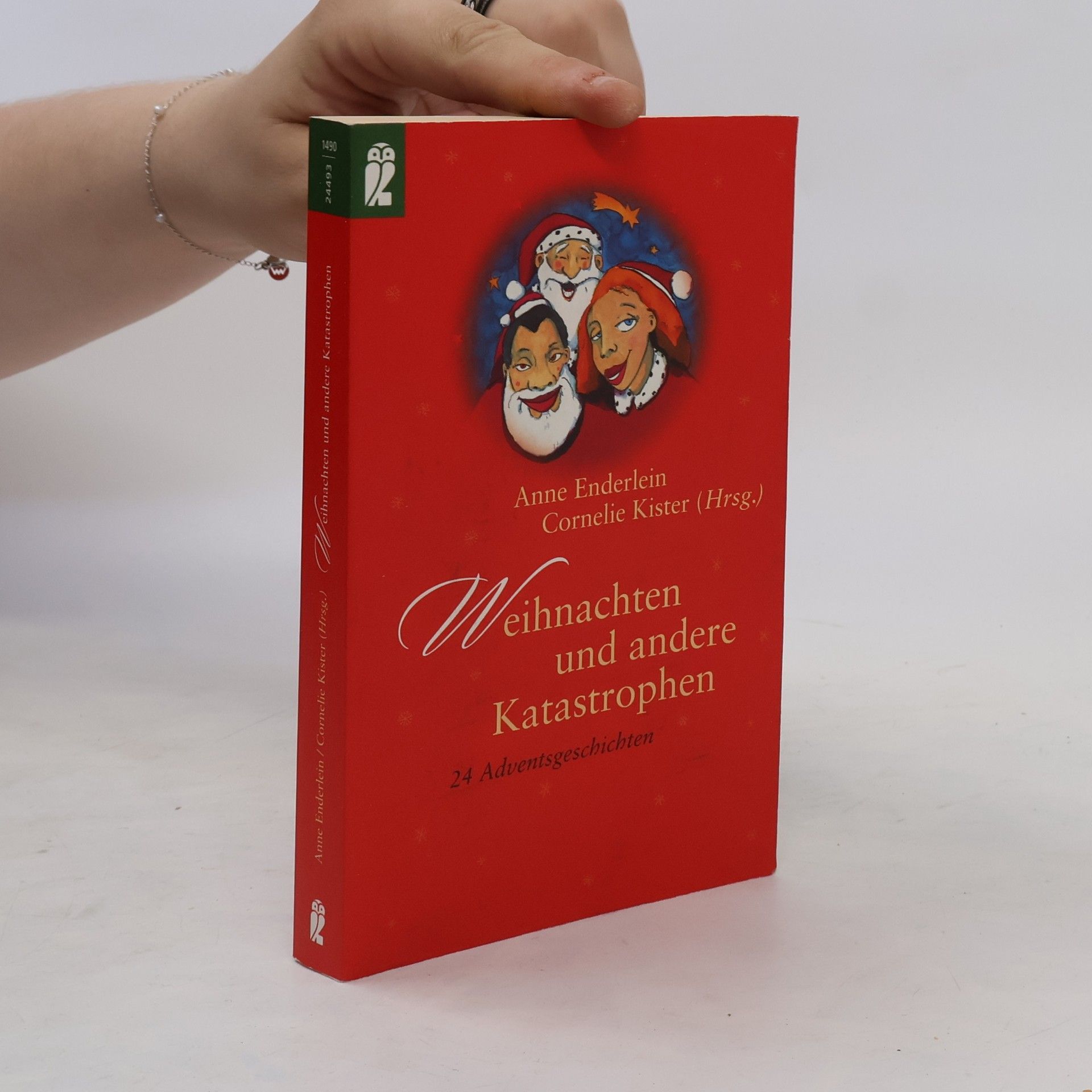 Anne Enderlein Weihnachten und andere Katastrophen