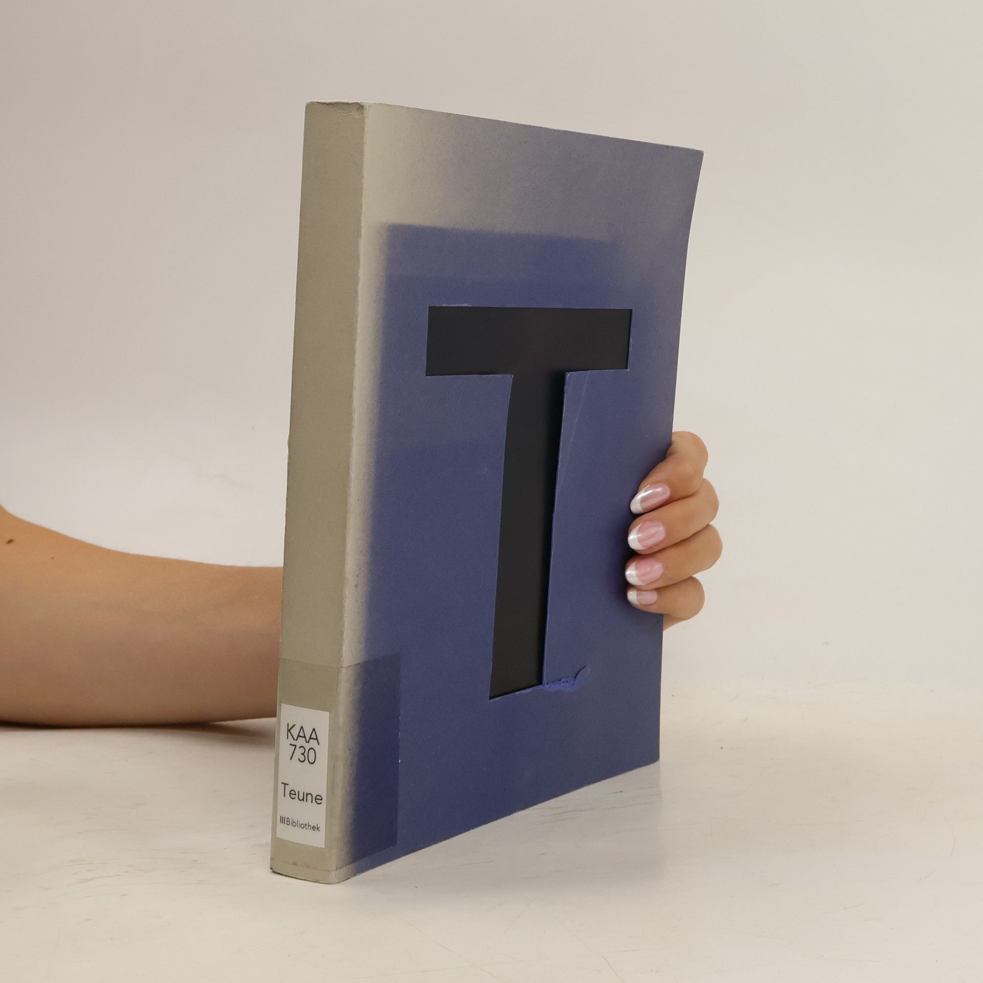 Jan Teunen Hundert T-Variationen