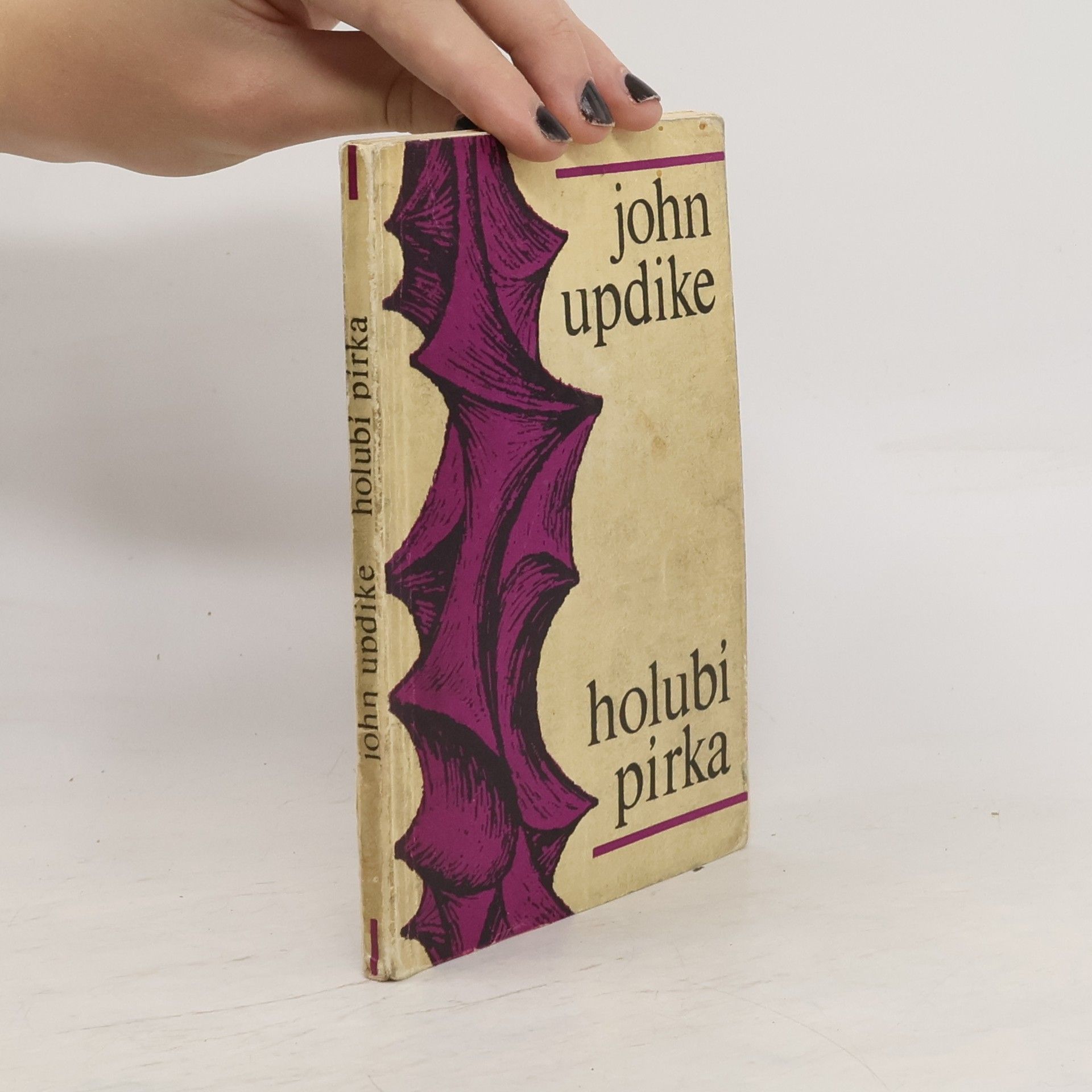 John Updike Holubí pírka