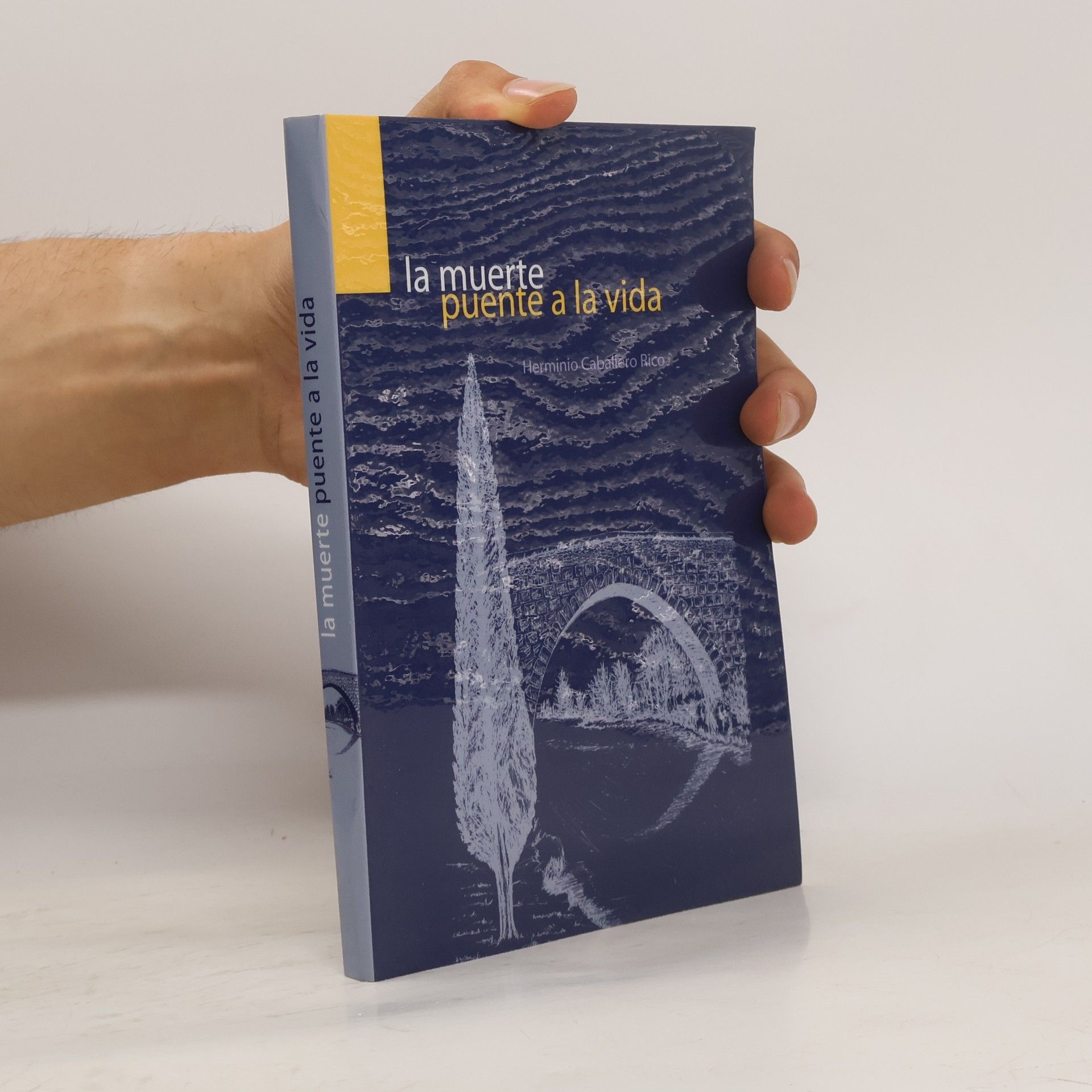 Herminio Caballero Rico La muerte puente a la vida