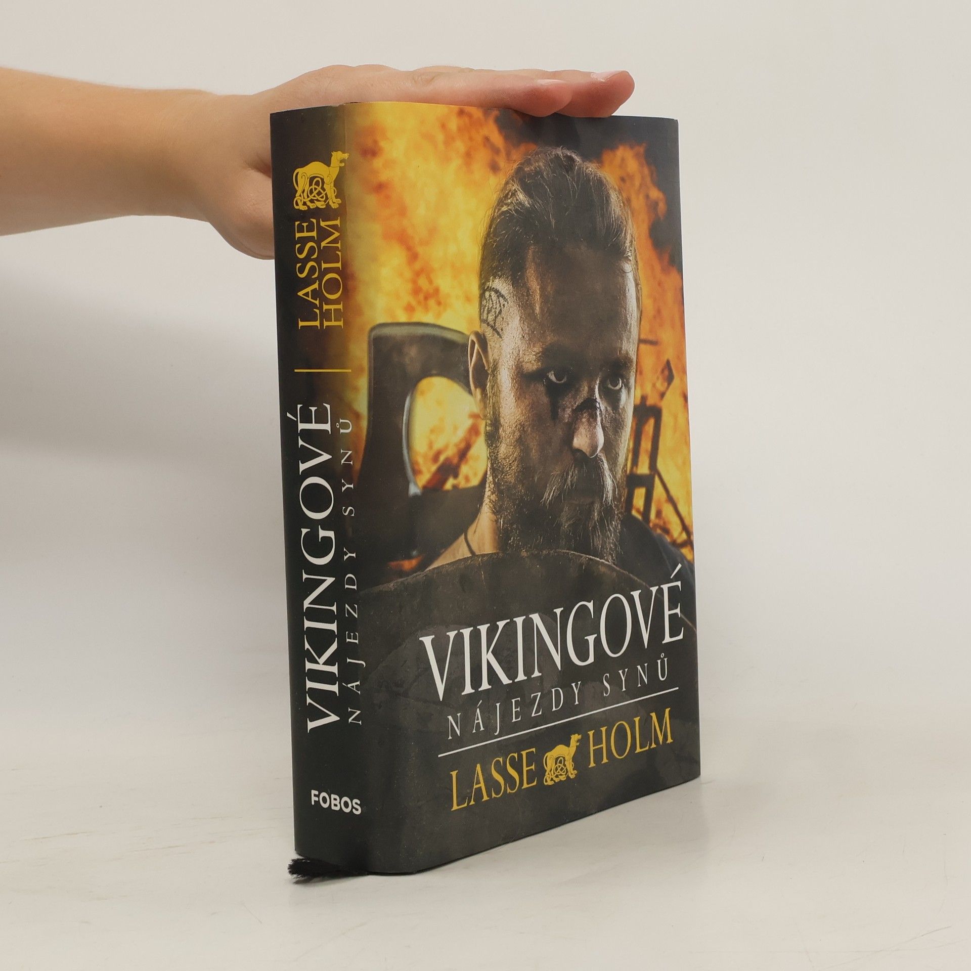 Vikingové. Nájezdy synů