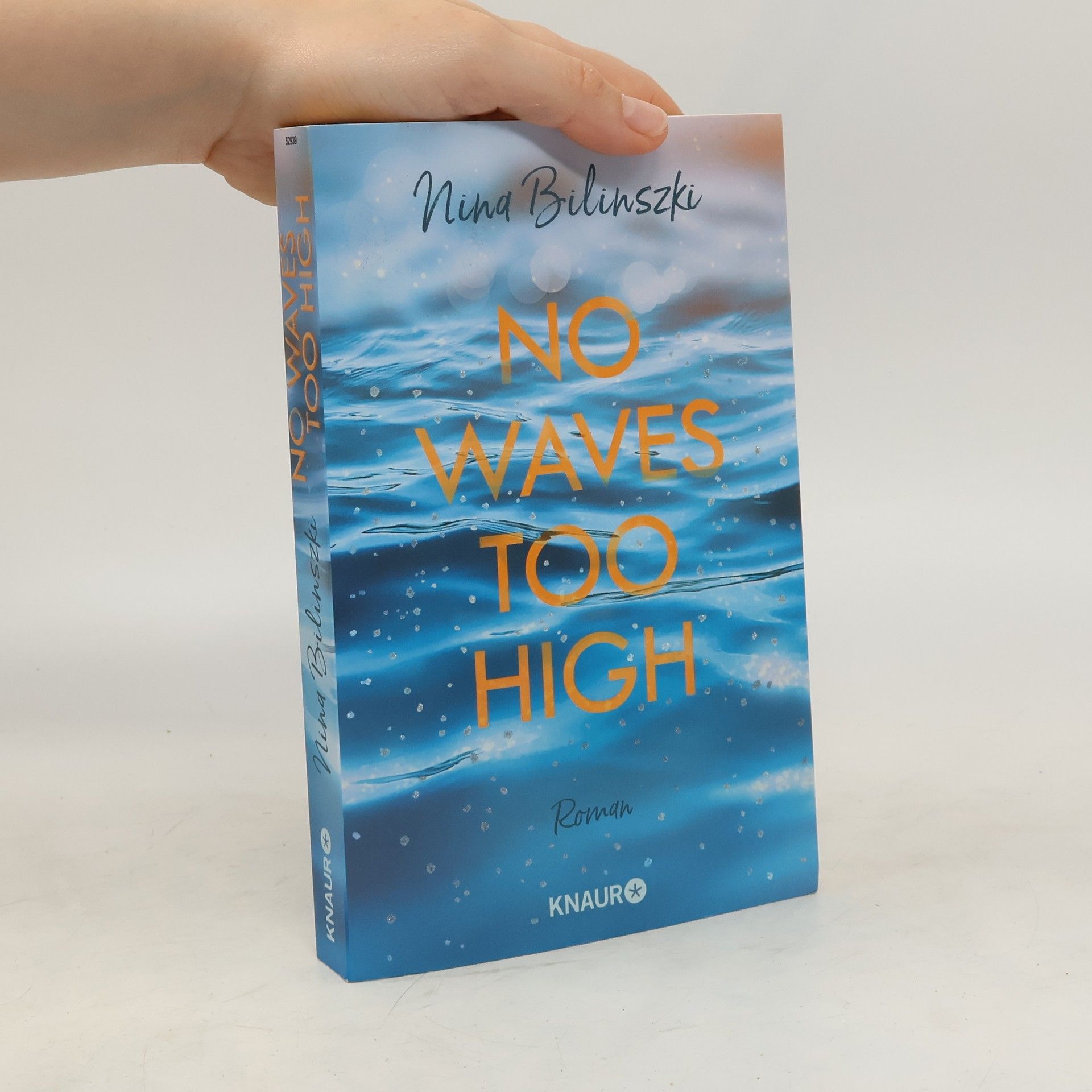 Nina Bilinszki No waves too high