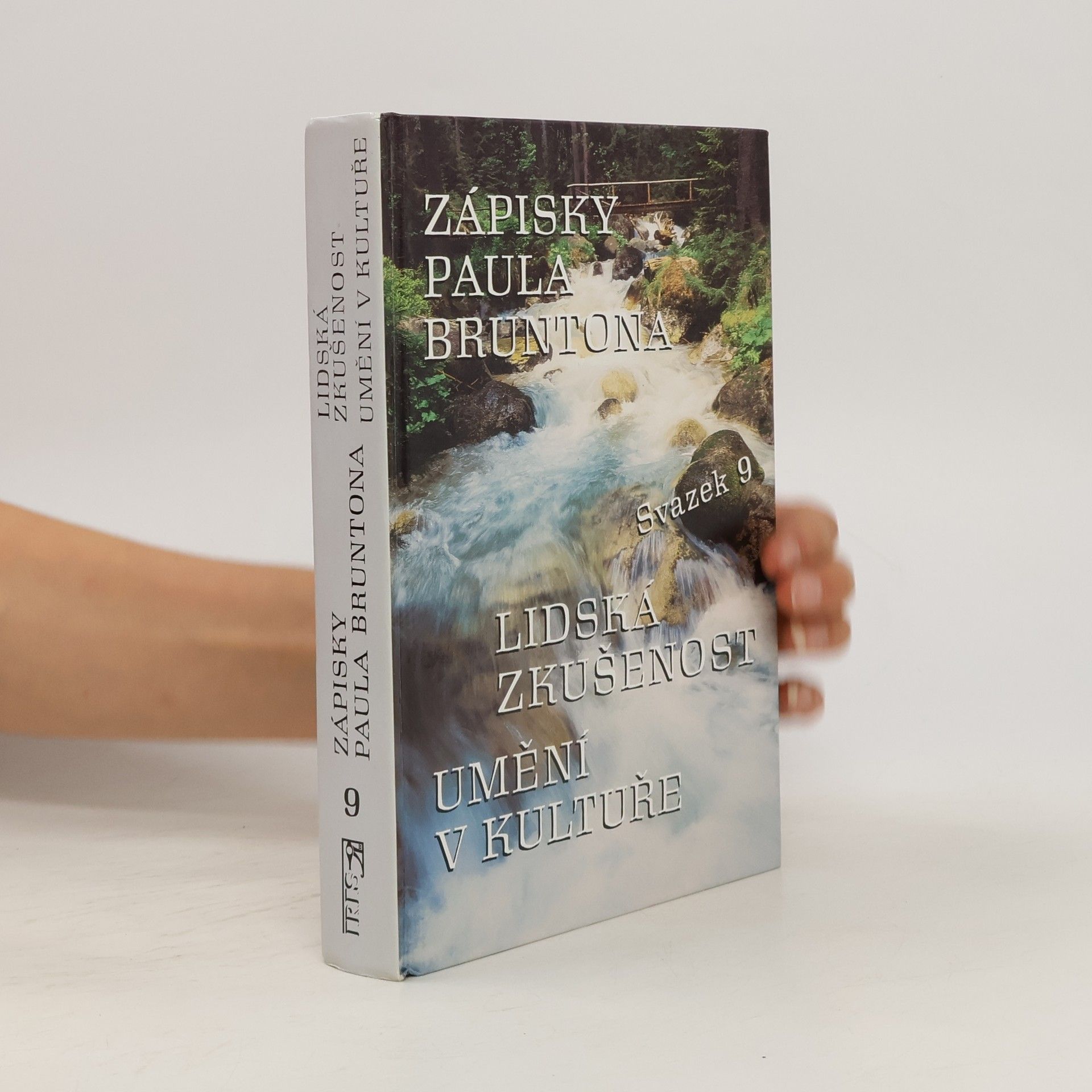 Paul Brunton Zápisky Paula Bruntona 9. Lidská zkušenost. Umění v kultuře