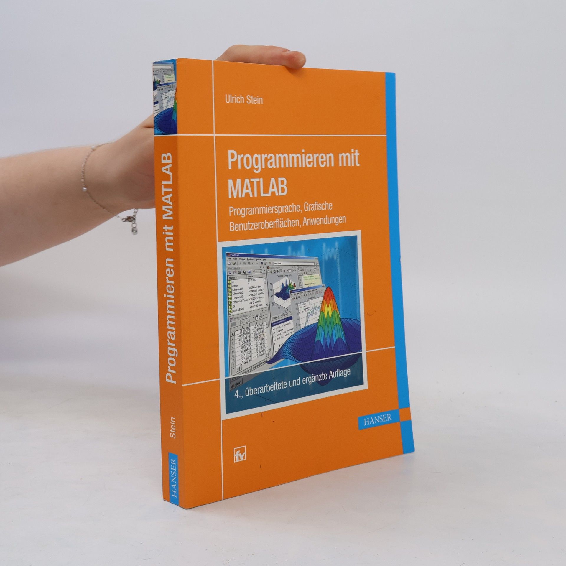 Ulrich Stein Programmieren mit MATLAB