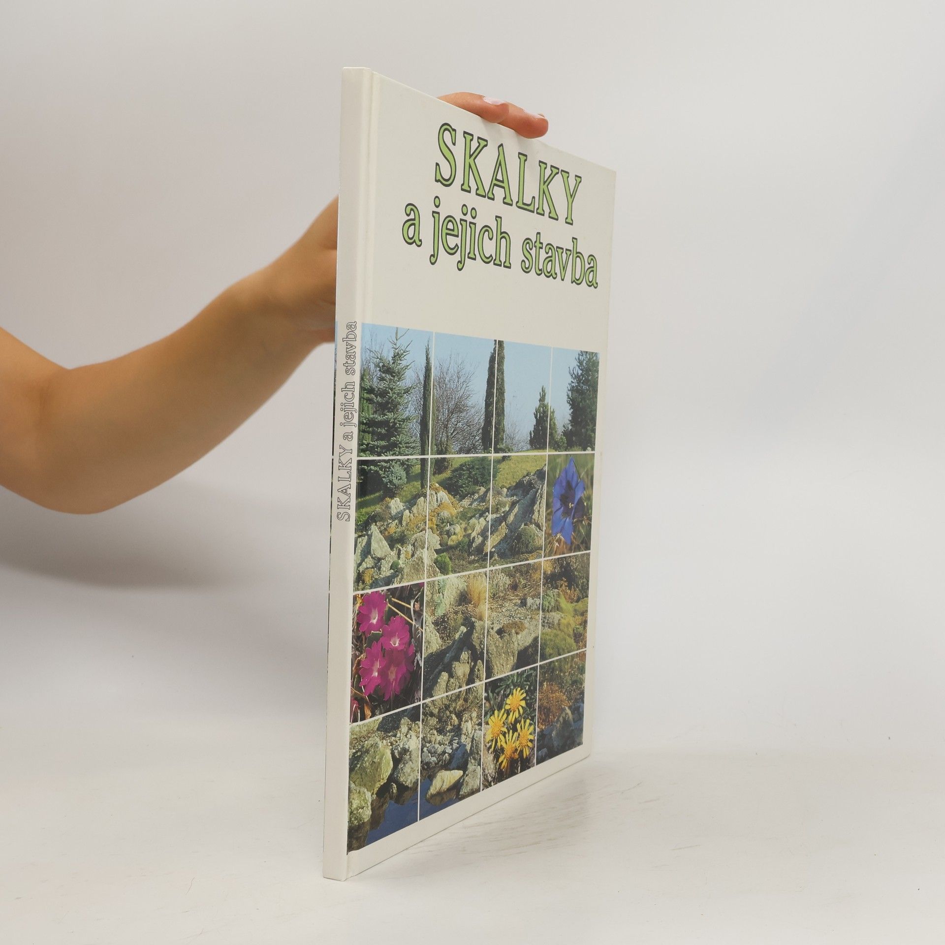 Vojtěch Holubec Skalky a jejich stavba