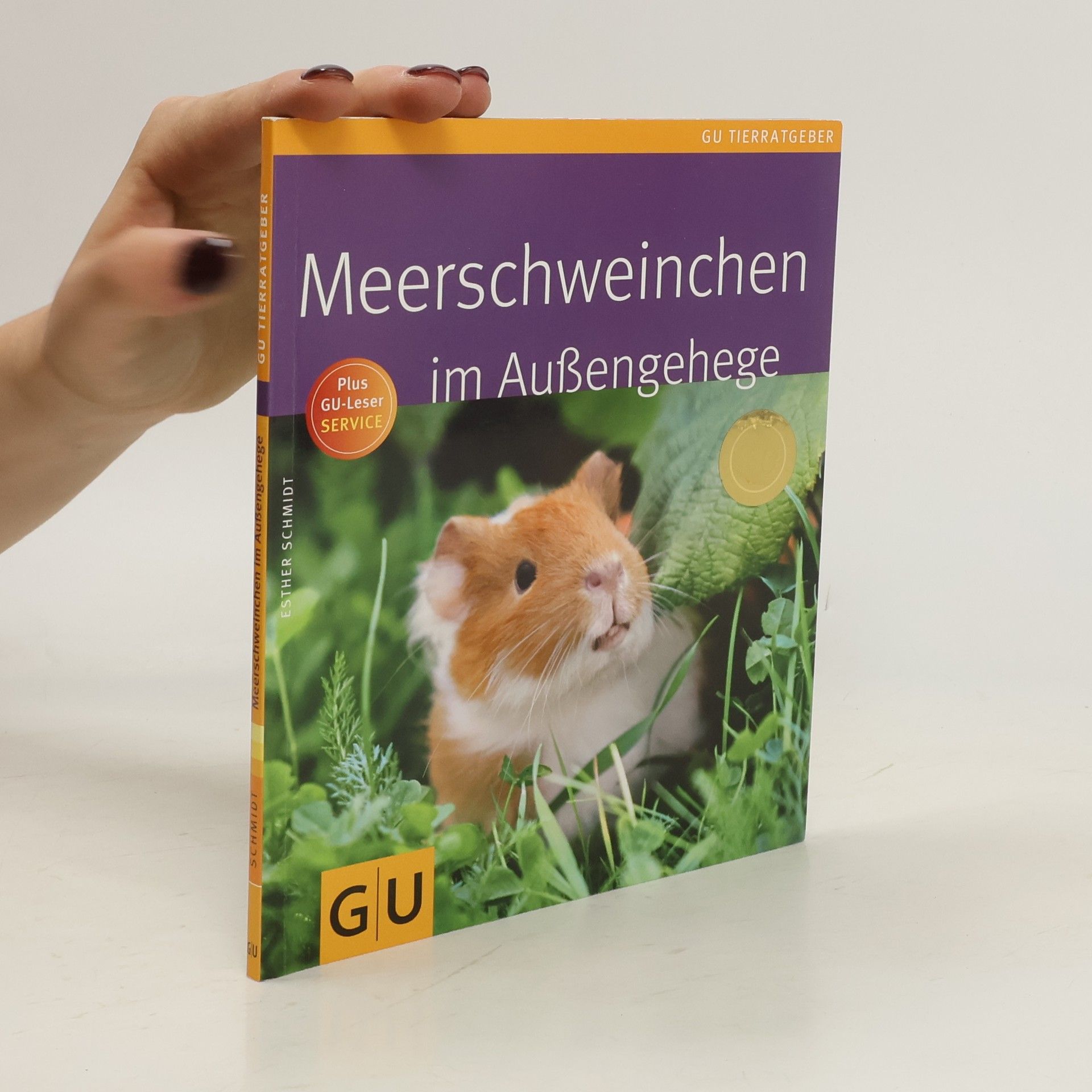 Esther Schmidt Meerschweinchen im Außengehege