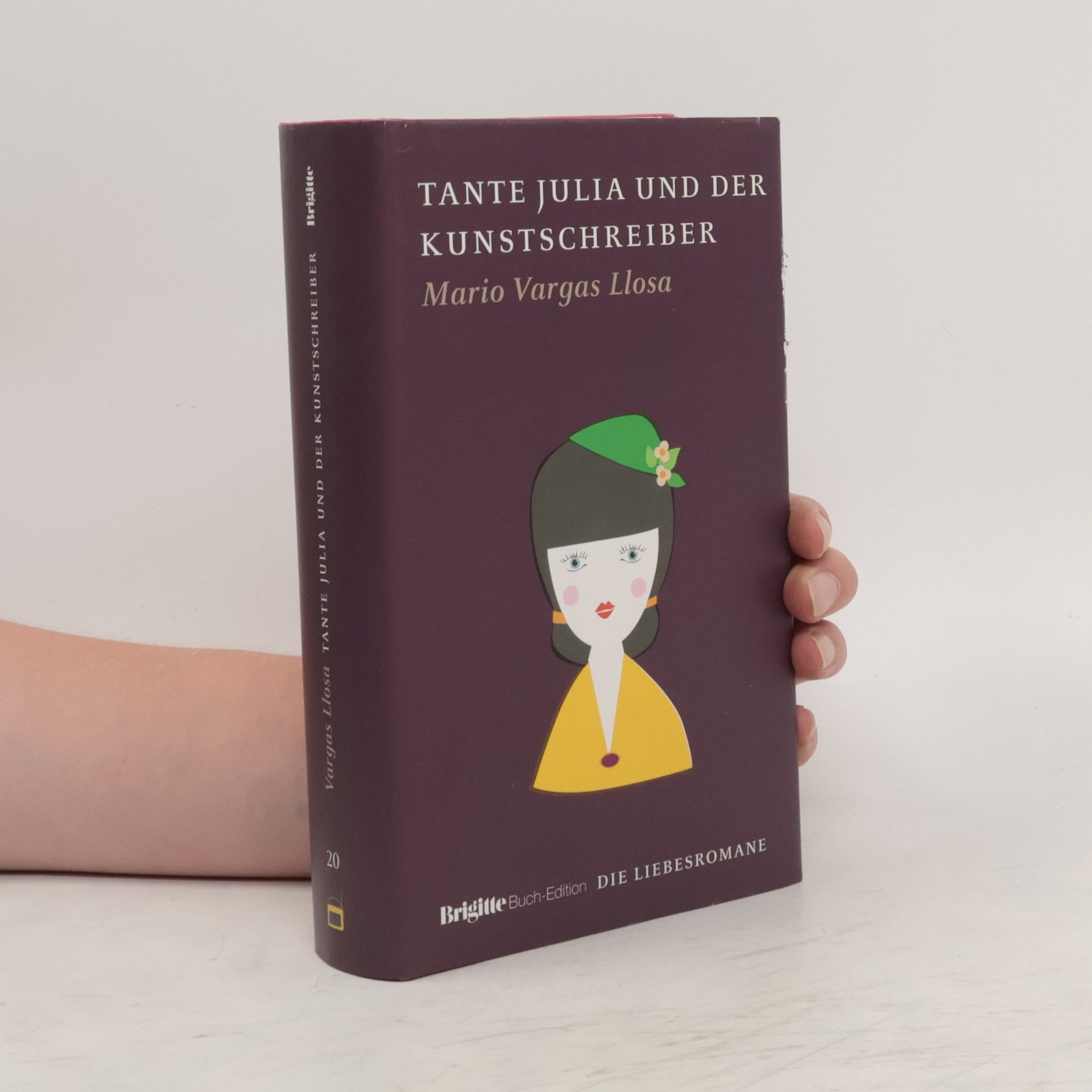 Mario Vargas Llosa Tante Julia und der Kunstschreiber