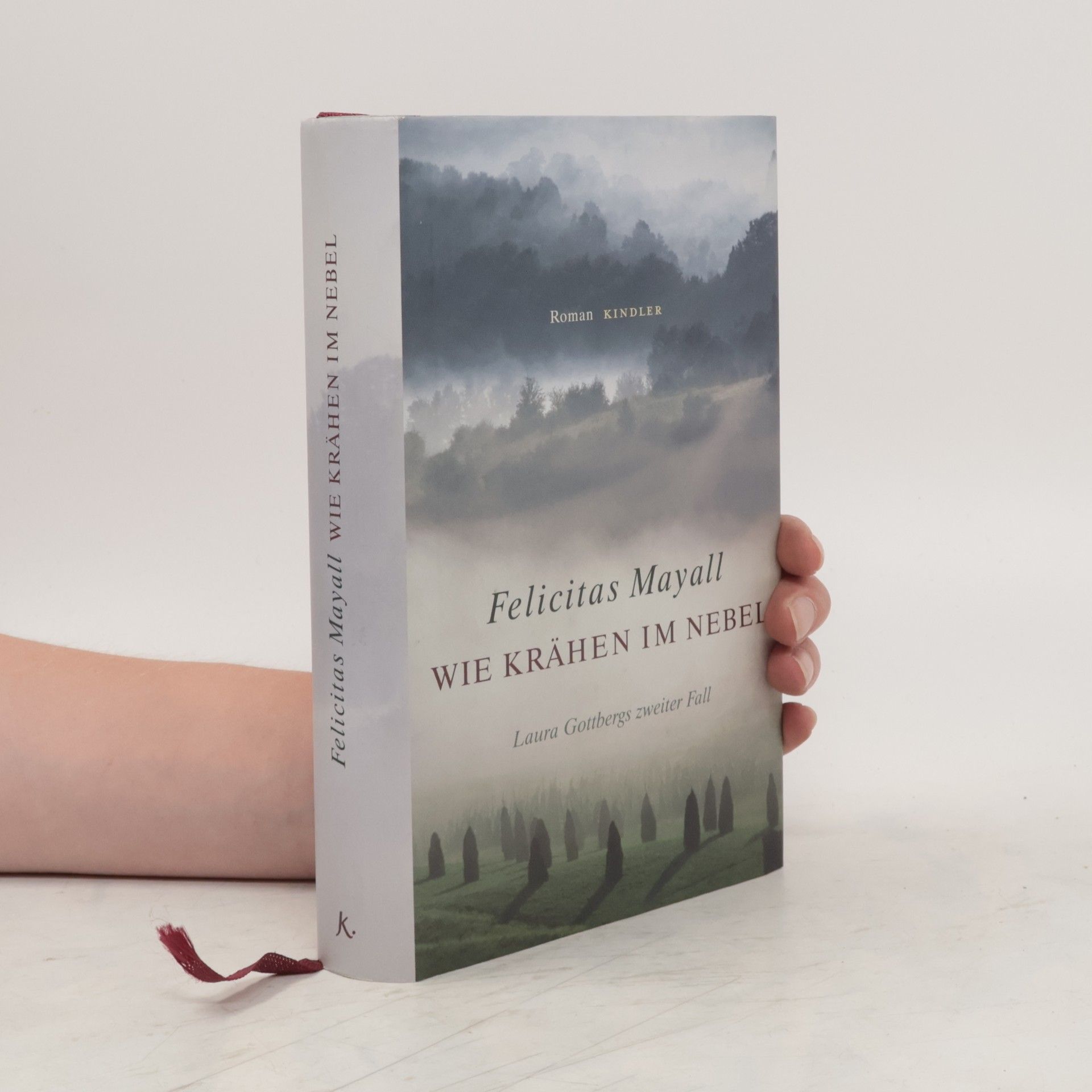 Felicitas Mayall Wie Krähen im Nebel