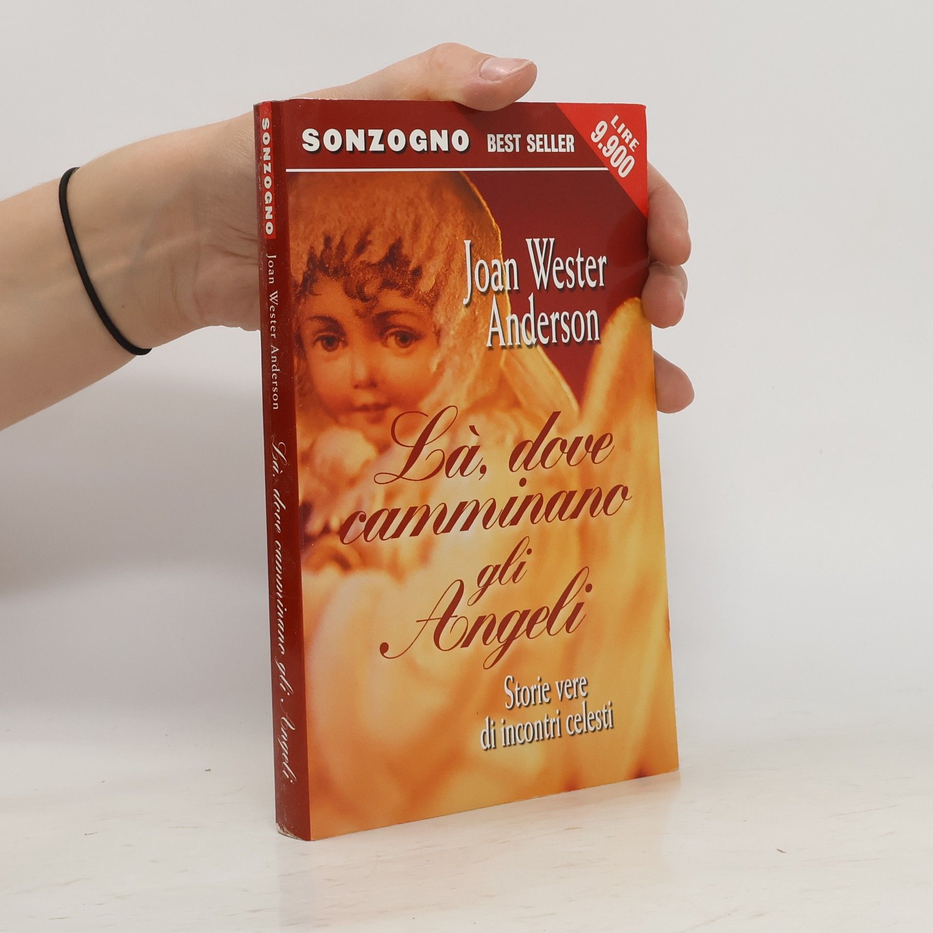Joanne W. Anderson Là, dove camminano gli Angeli